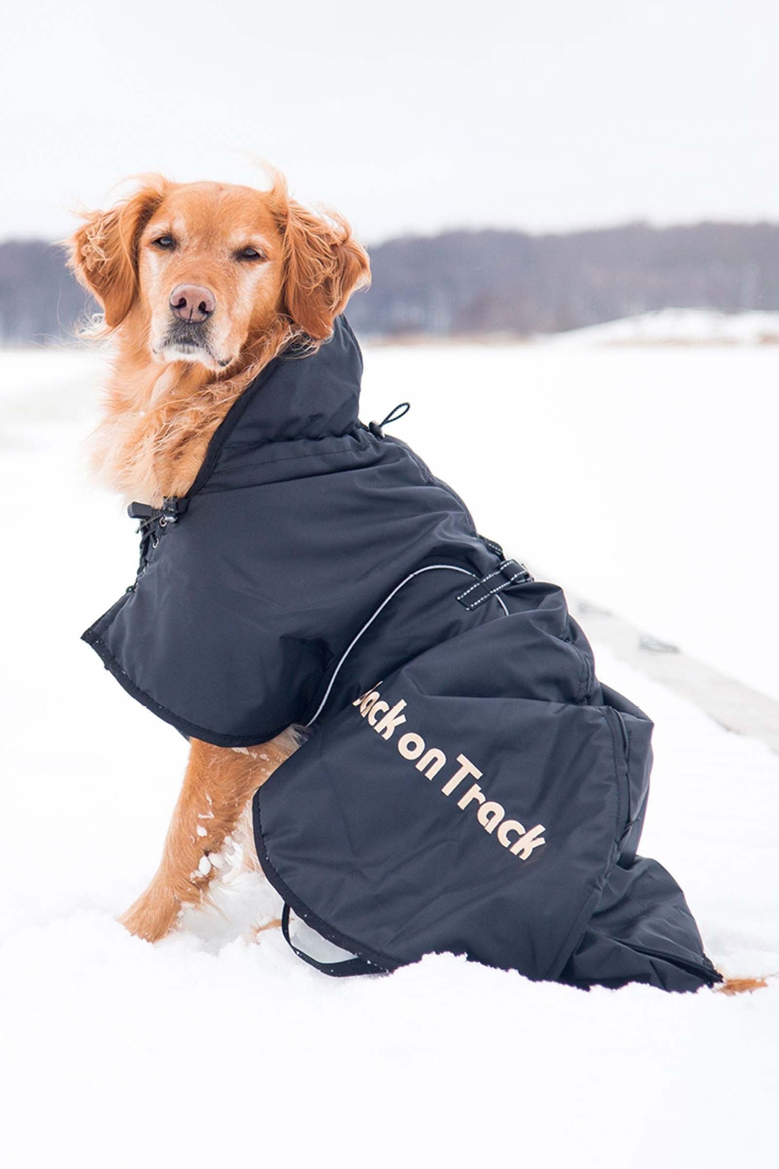 Back on Track Standard Dog Rug 21-40 Dog Accesories