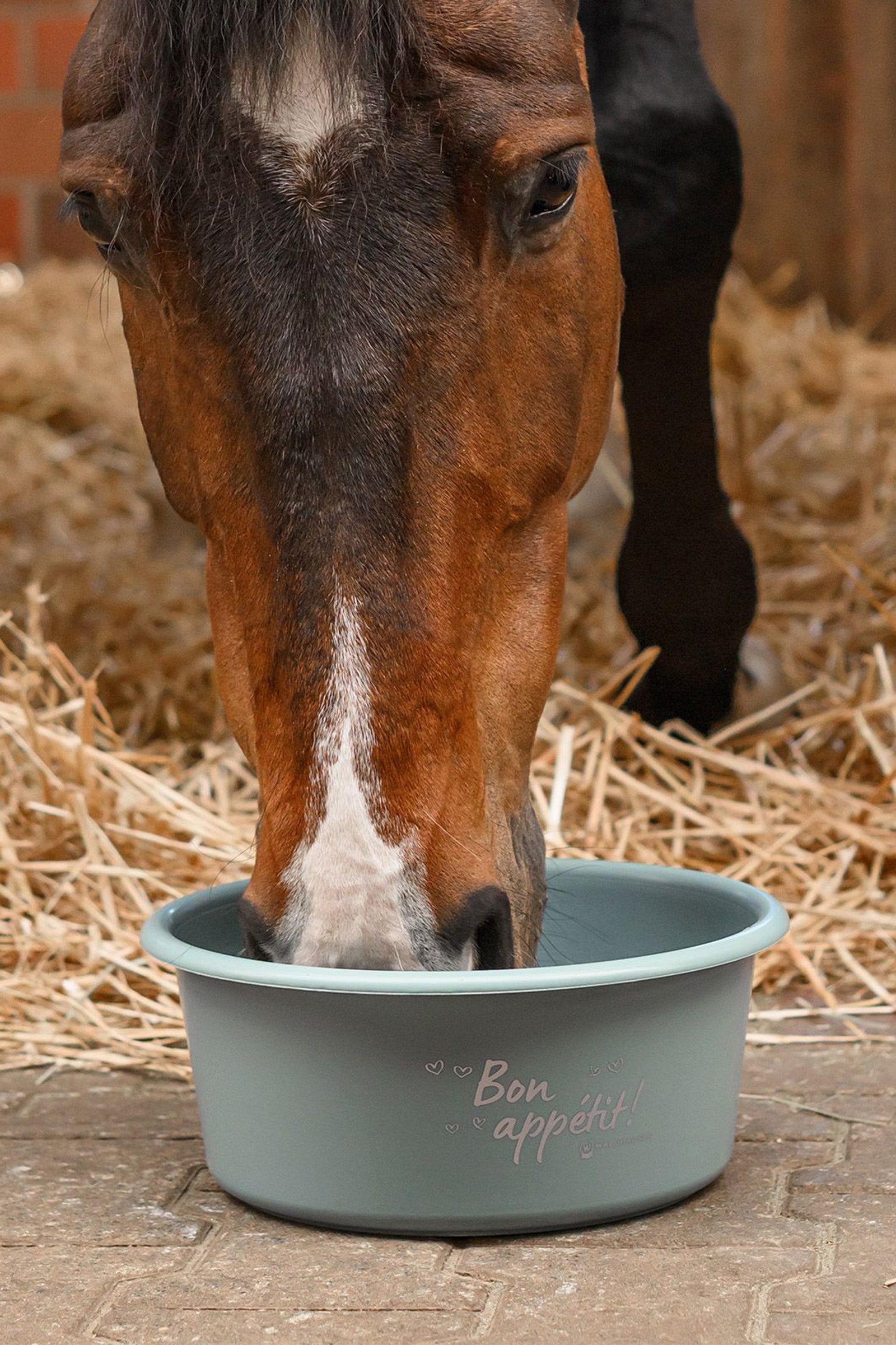 Waldhausen Muesli Bowl With Lid Horse Feeders & Waterers