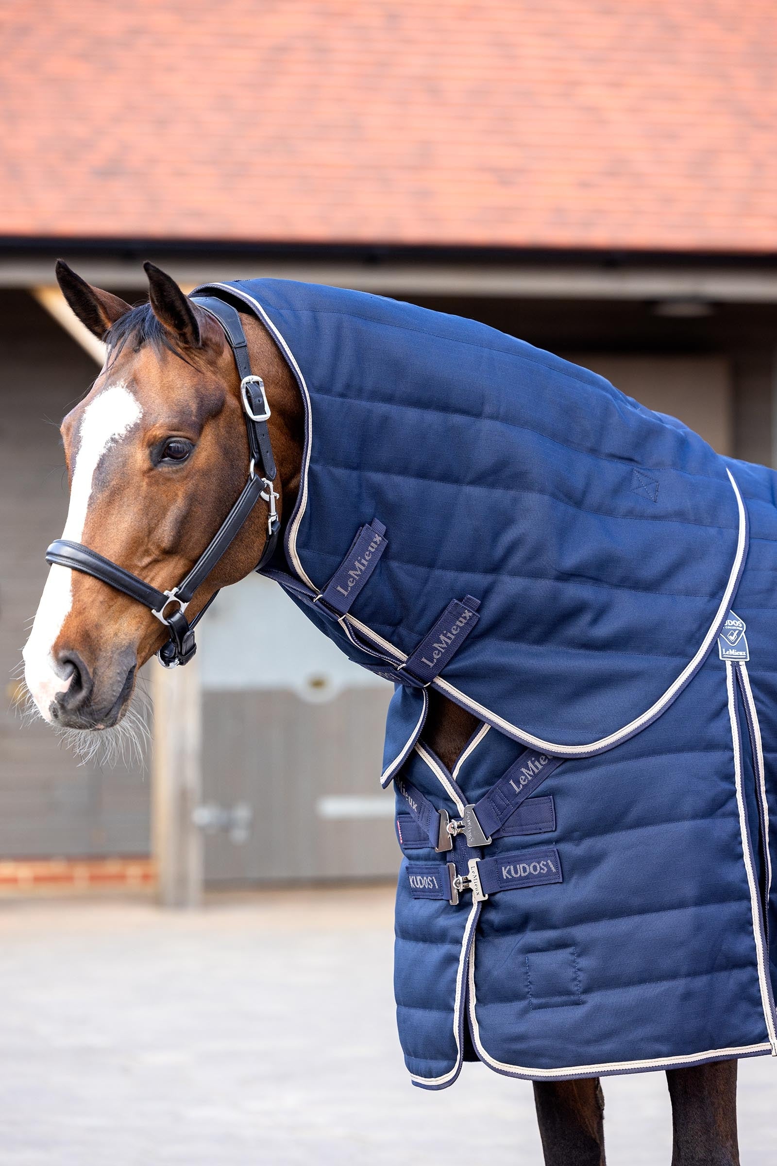 LeMieux Kudos Stable Rug, 200 g Horse Rugs
