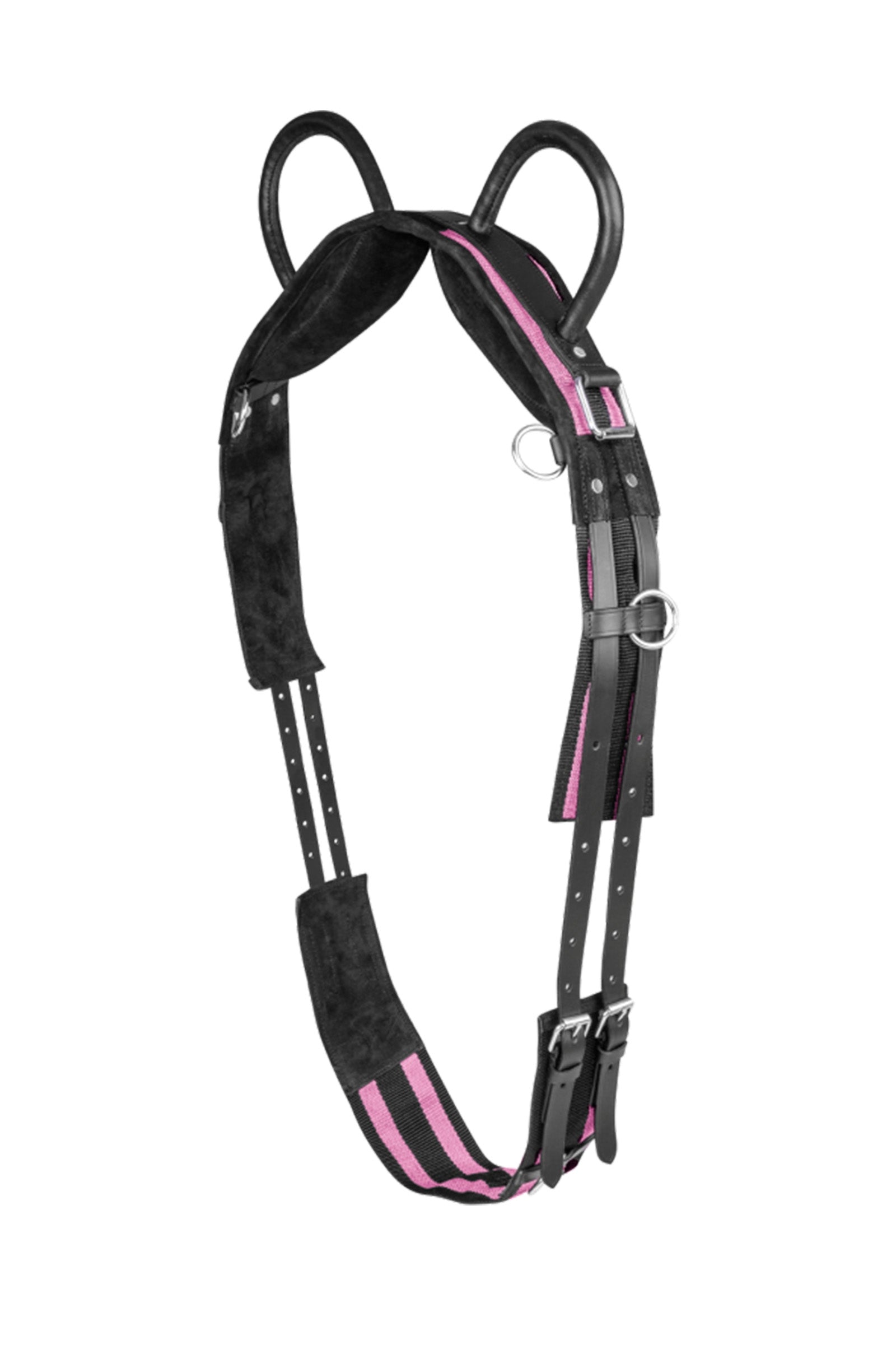 Waldhausen Surcingle with two handles Saddles, Girths & Stirrups