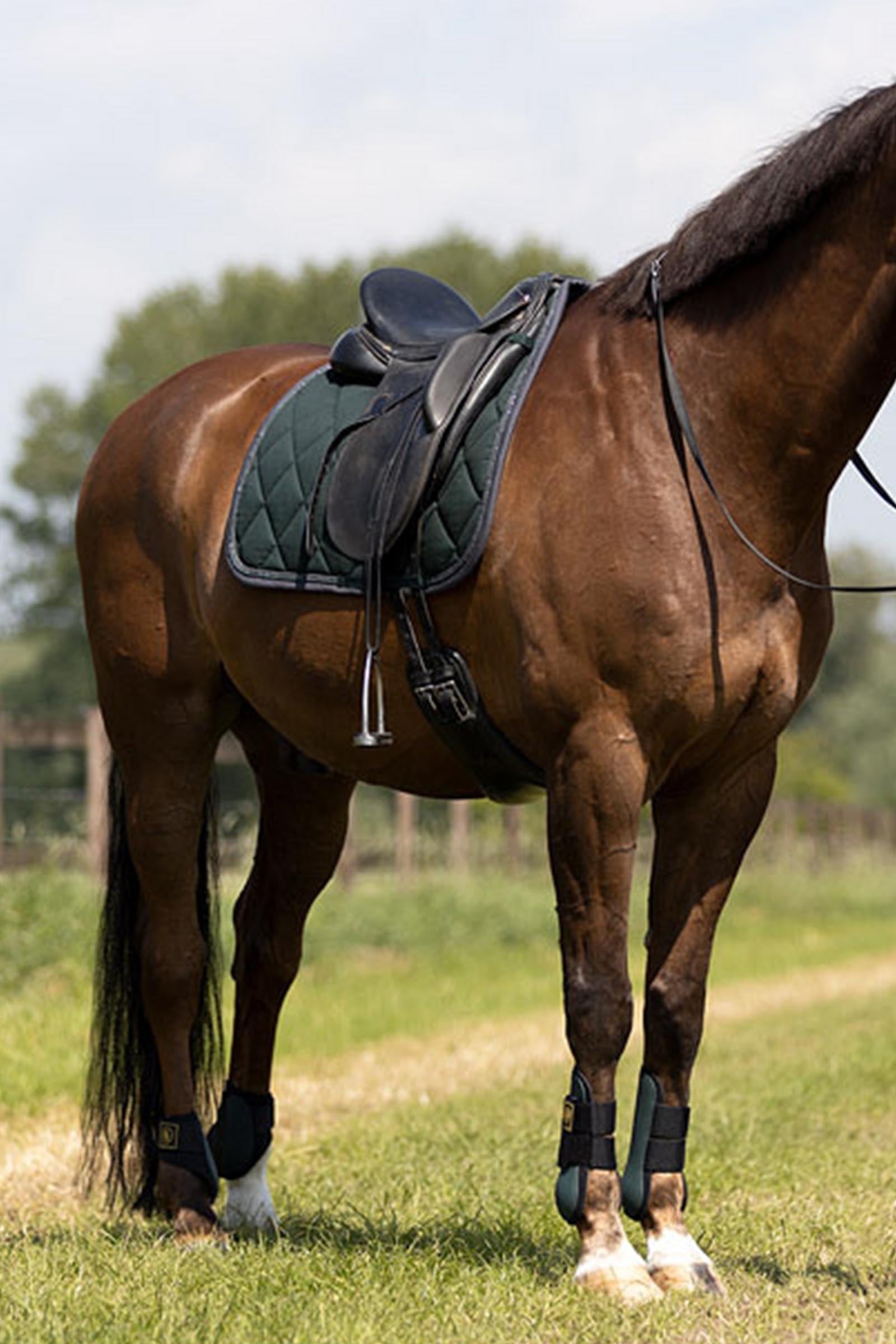 BR Event Non-Elastic Fetlock Boots Leg Protection & Hoof Protection for Horses