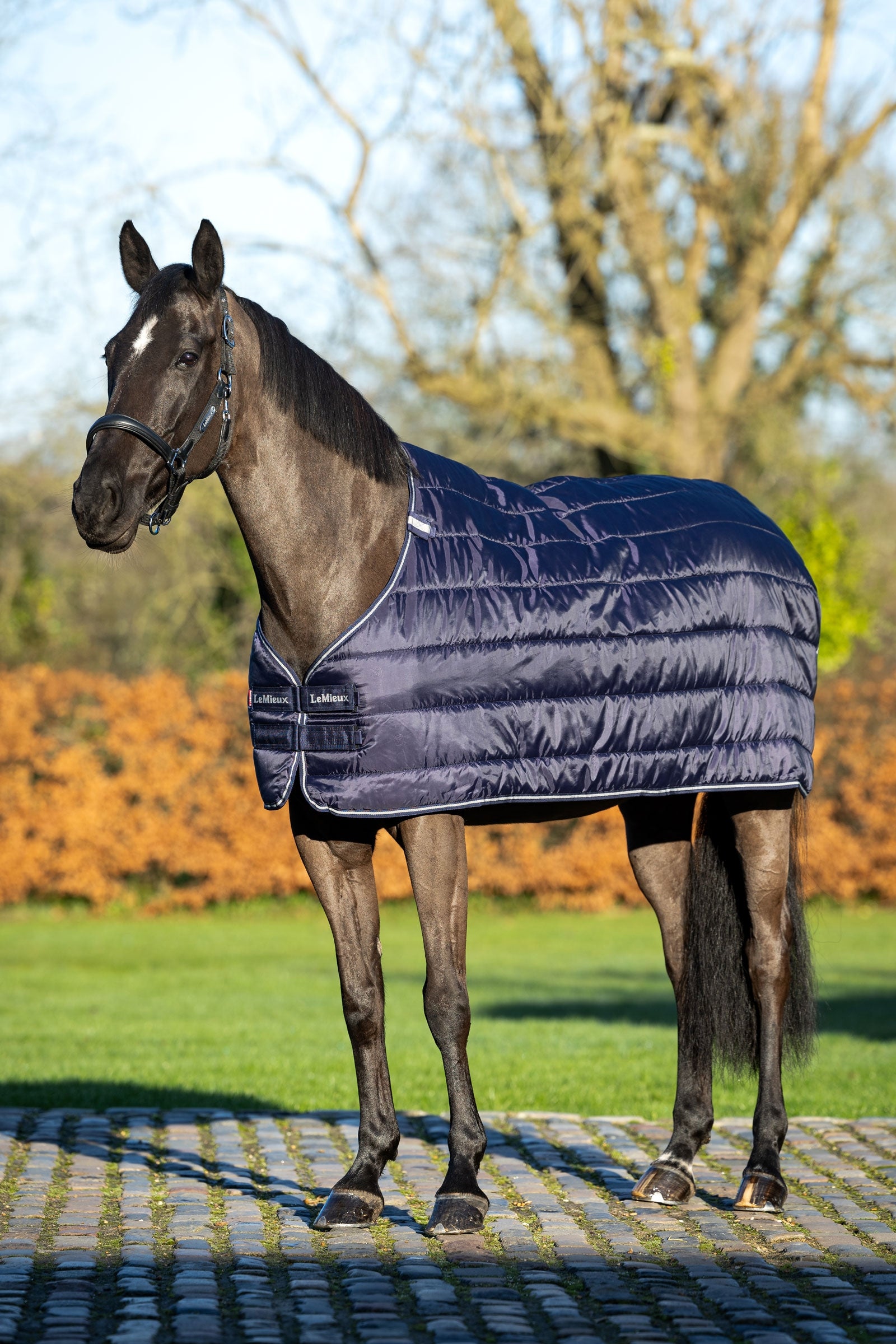 LeMieux Rug Liner, 100 g Horse Rugs