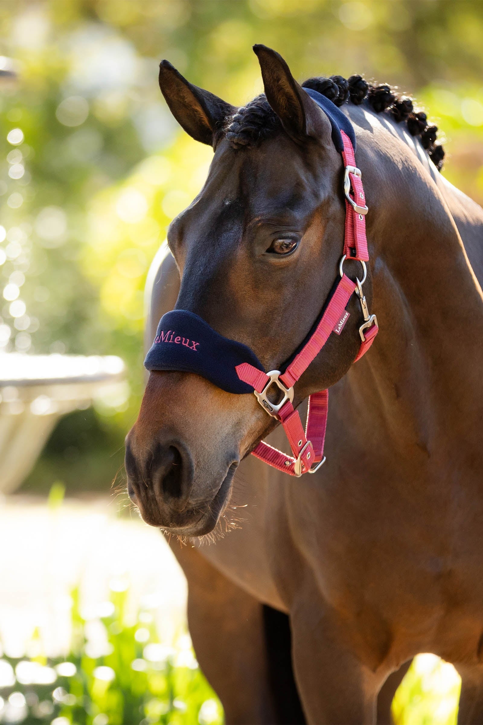 LeMieux Vogue Headcollar & Lead Rope Set Halters & Leads