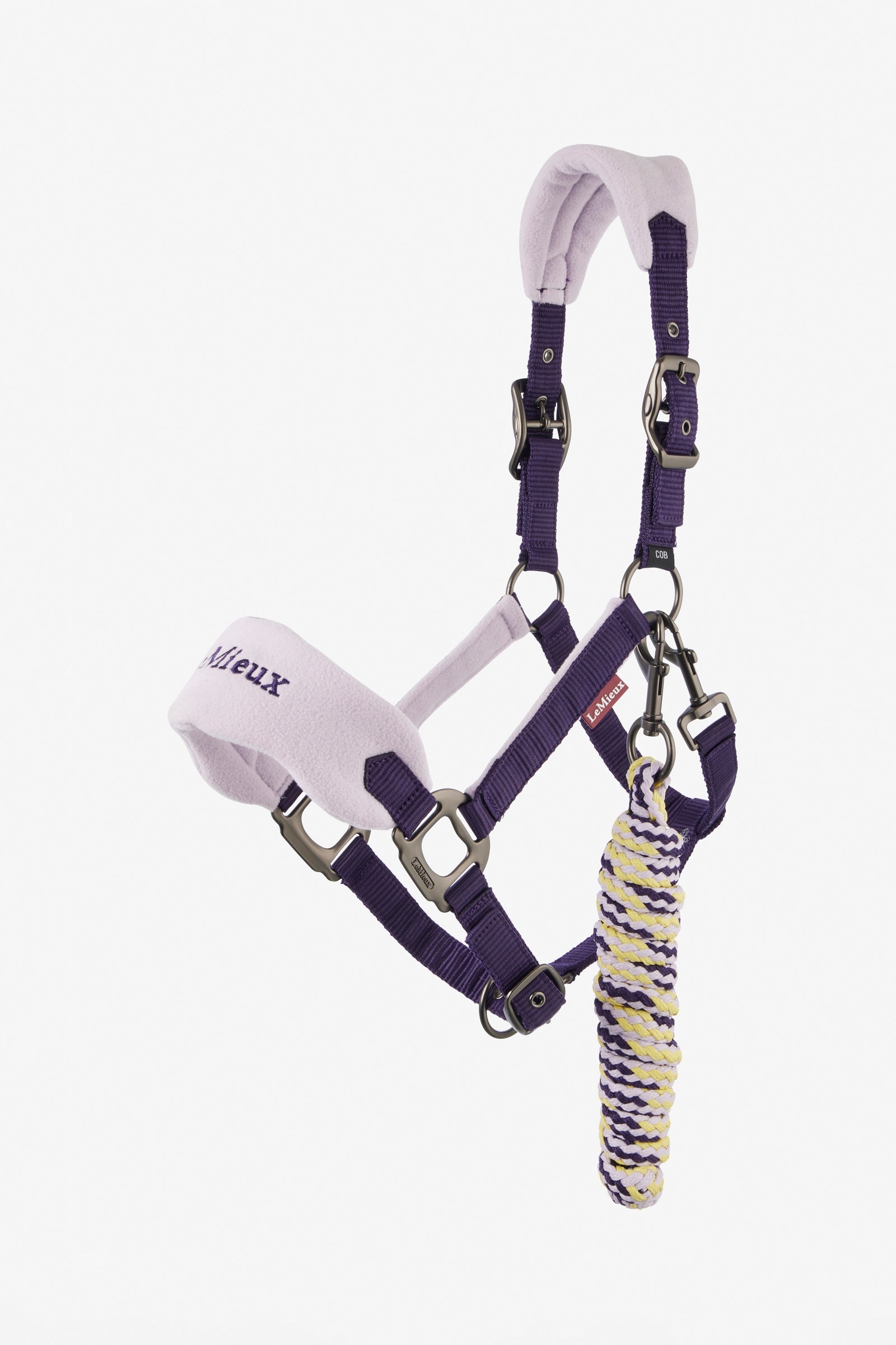 Alt Tag fallback text for IMAGE