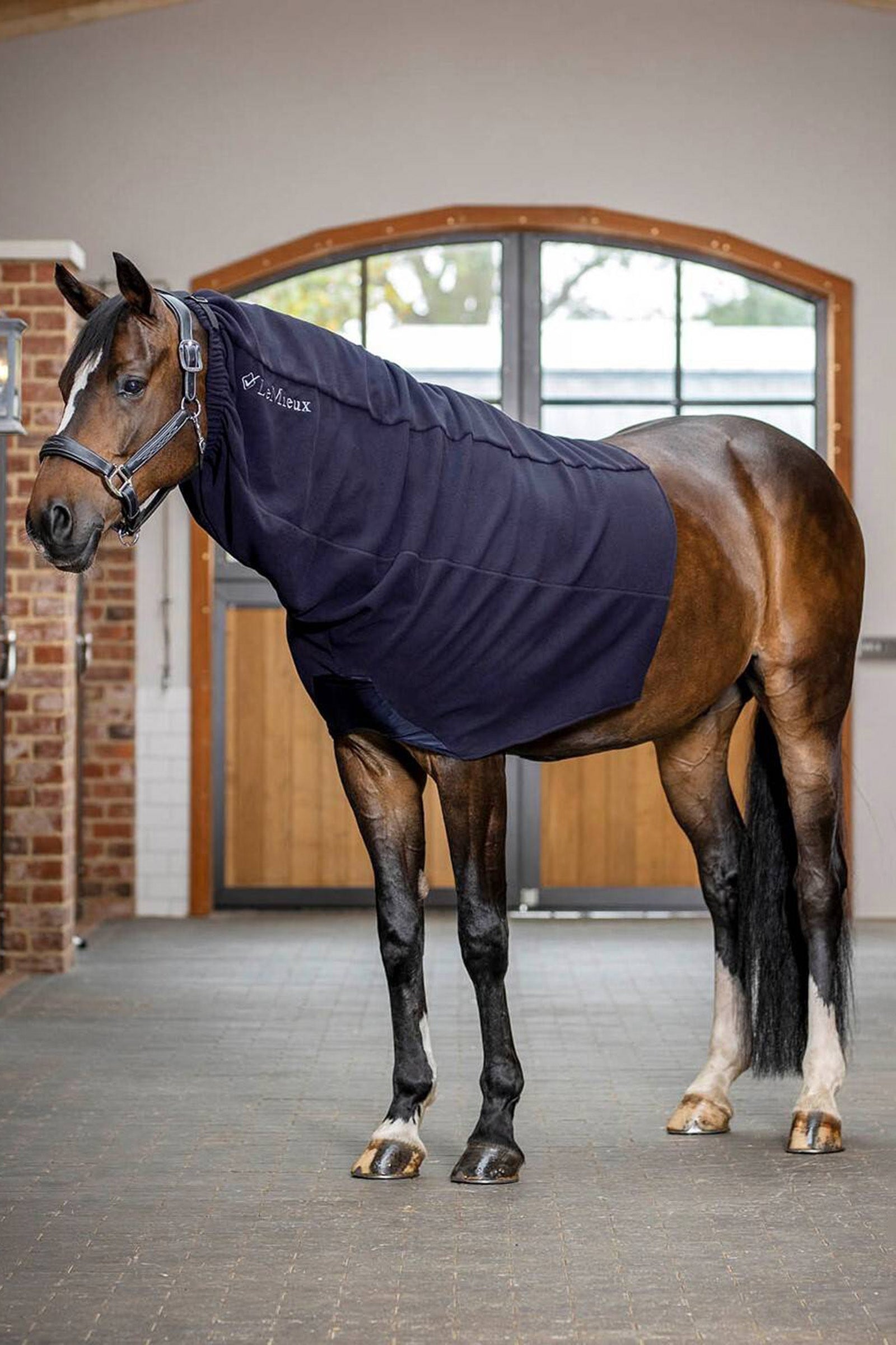 LeMieux Arika Fleece Hood Horse Rugs