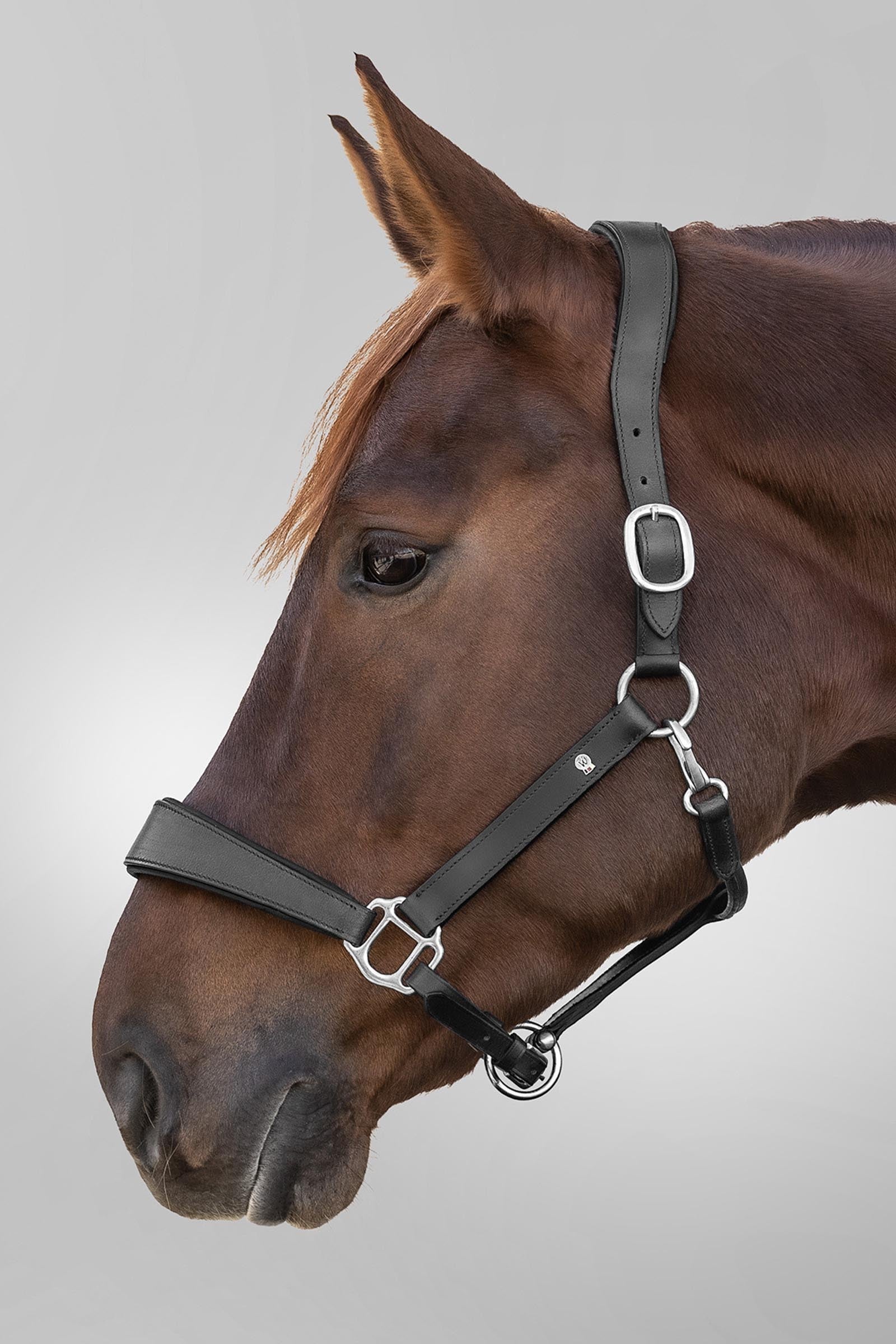 Waldhausen S-line Anatomic Leather Halter Halters & Leads