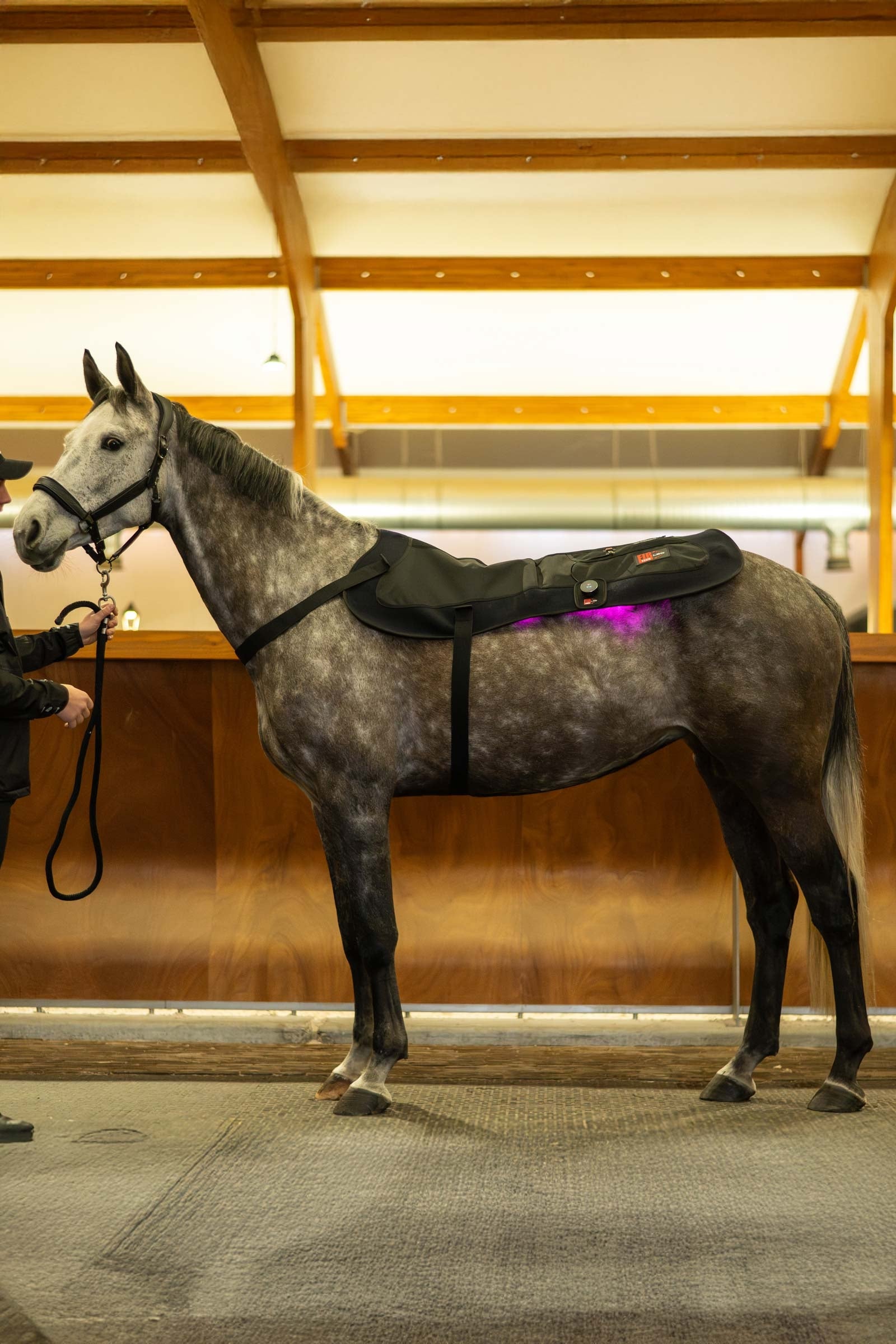 Catago CATAGO FIR-Tech LED pad Horse Rugs