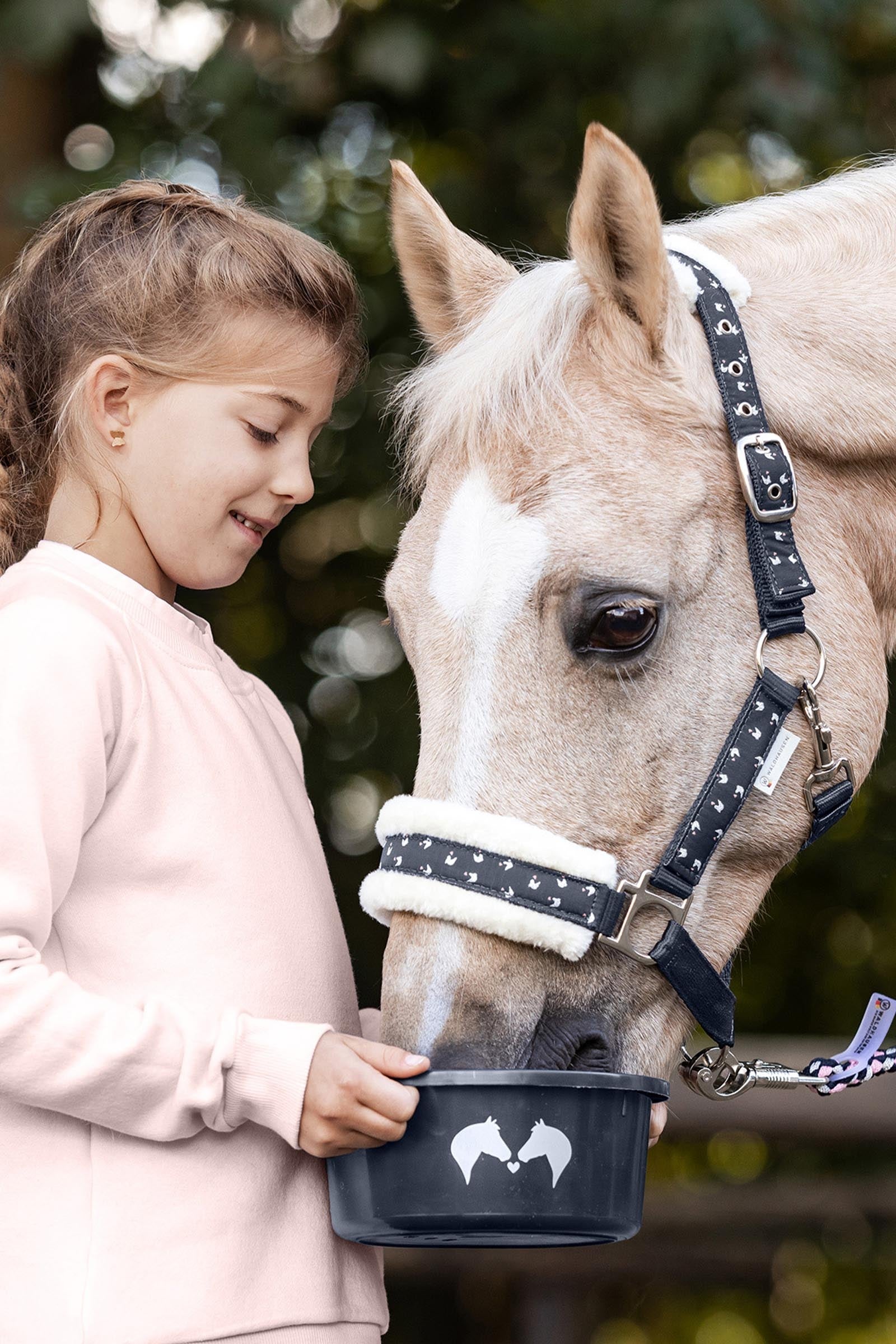 undefined Waldhausen Treat Bowl Lucky With Lid Horse Feeders & Waterers