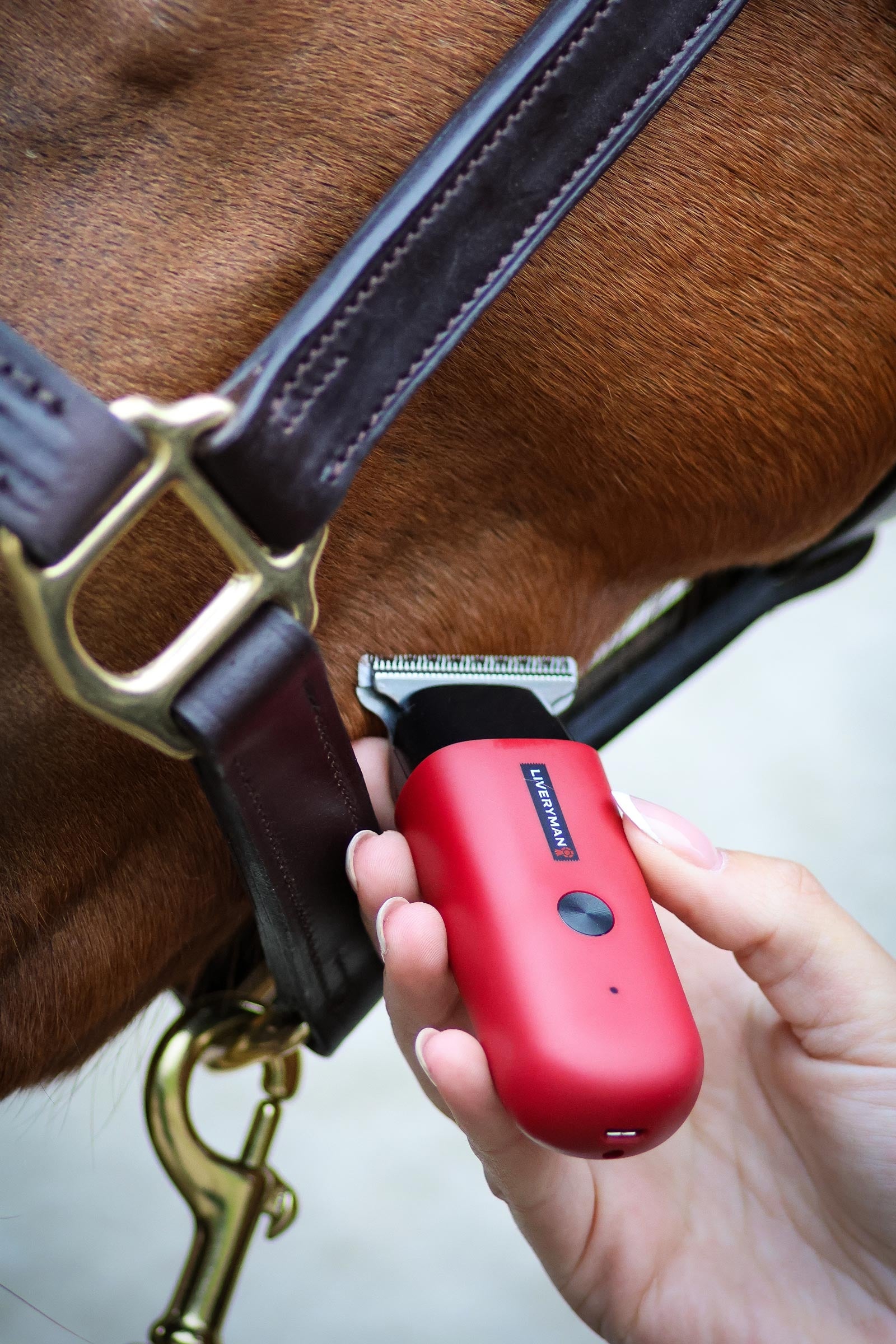 Liveryman Robin Equine Trimmer Horse Clipping & Trimming Tools