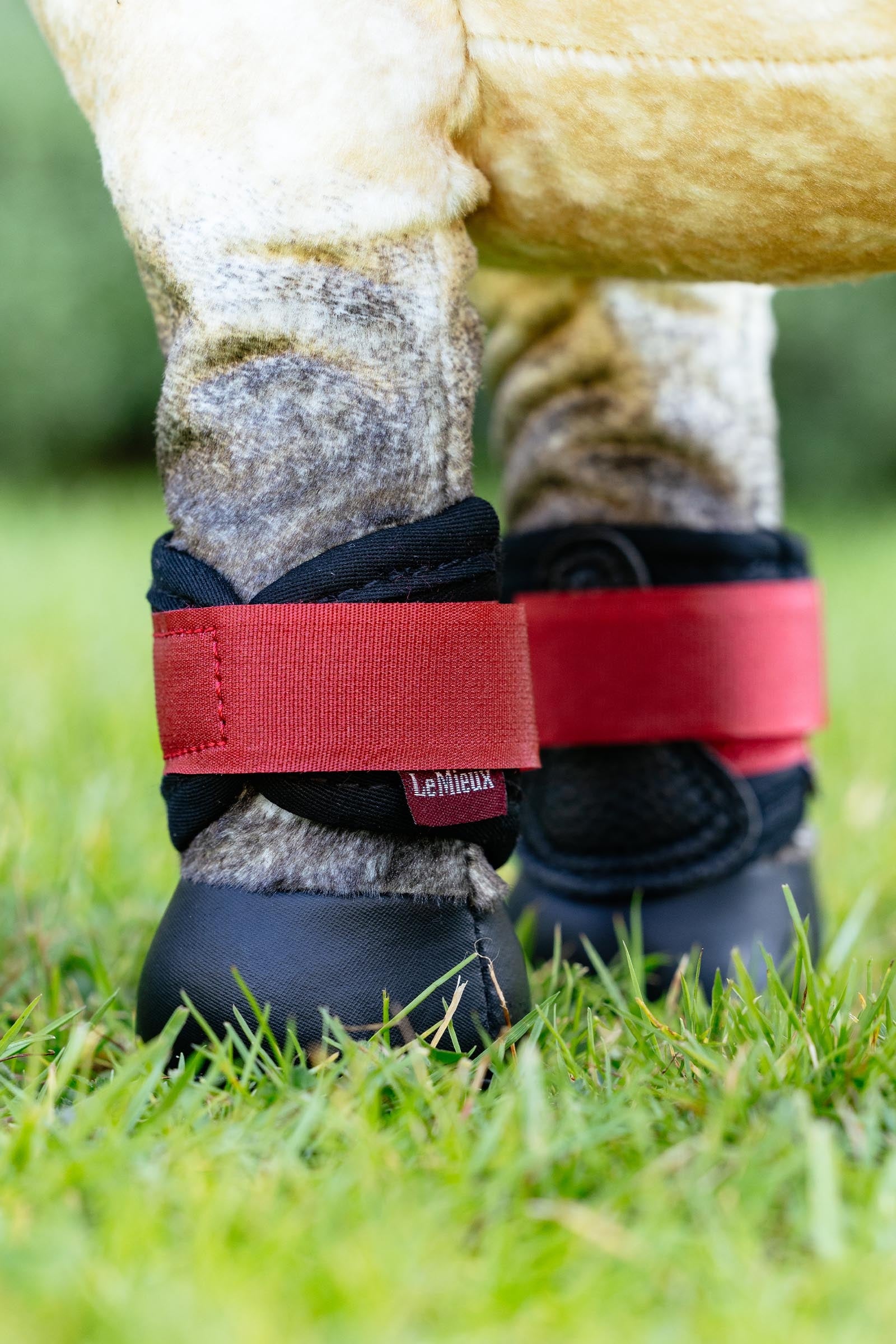 Lifestyle shot 1