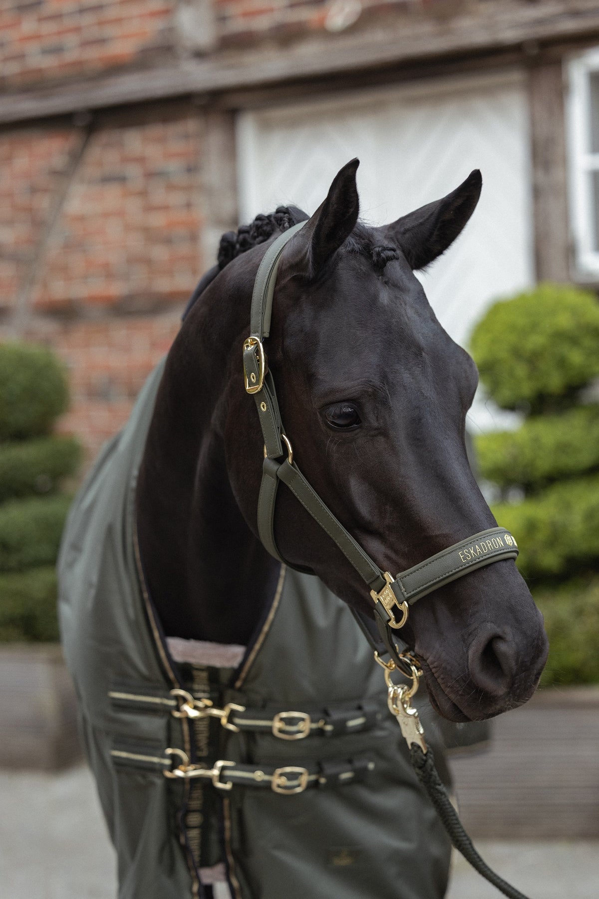Eskadron Heritage 26/27 Beta Turnout Rug, 150g Horse Rugs