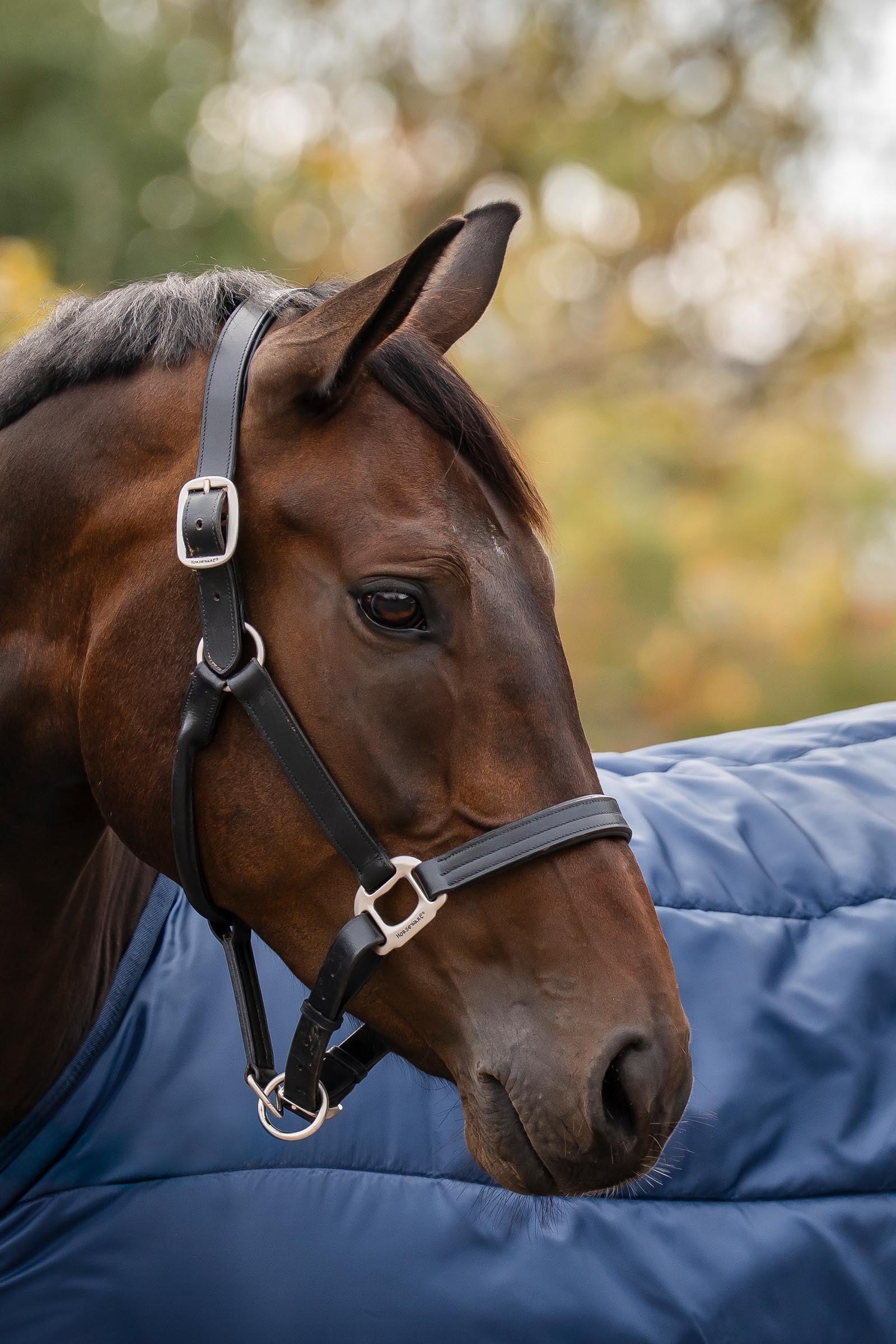 Horseware Liner 400g Horse Rugs