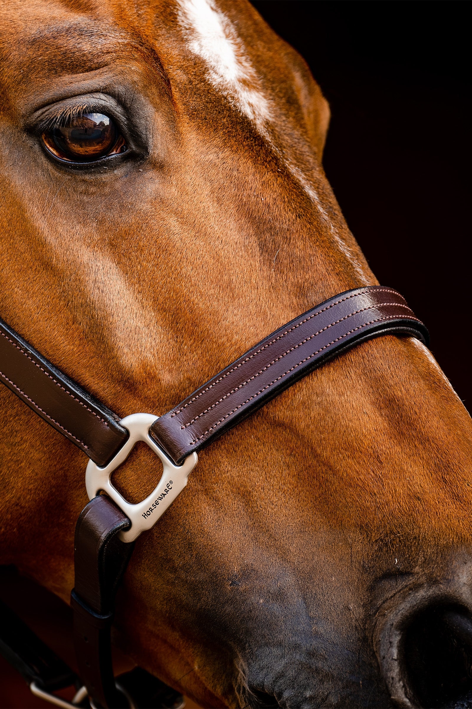 Horseware Signature Leather Headcollar Halters & Leads
