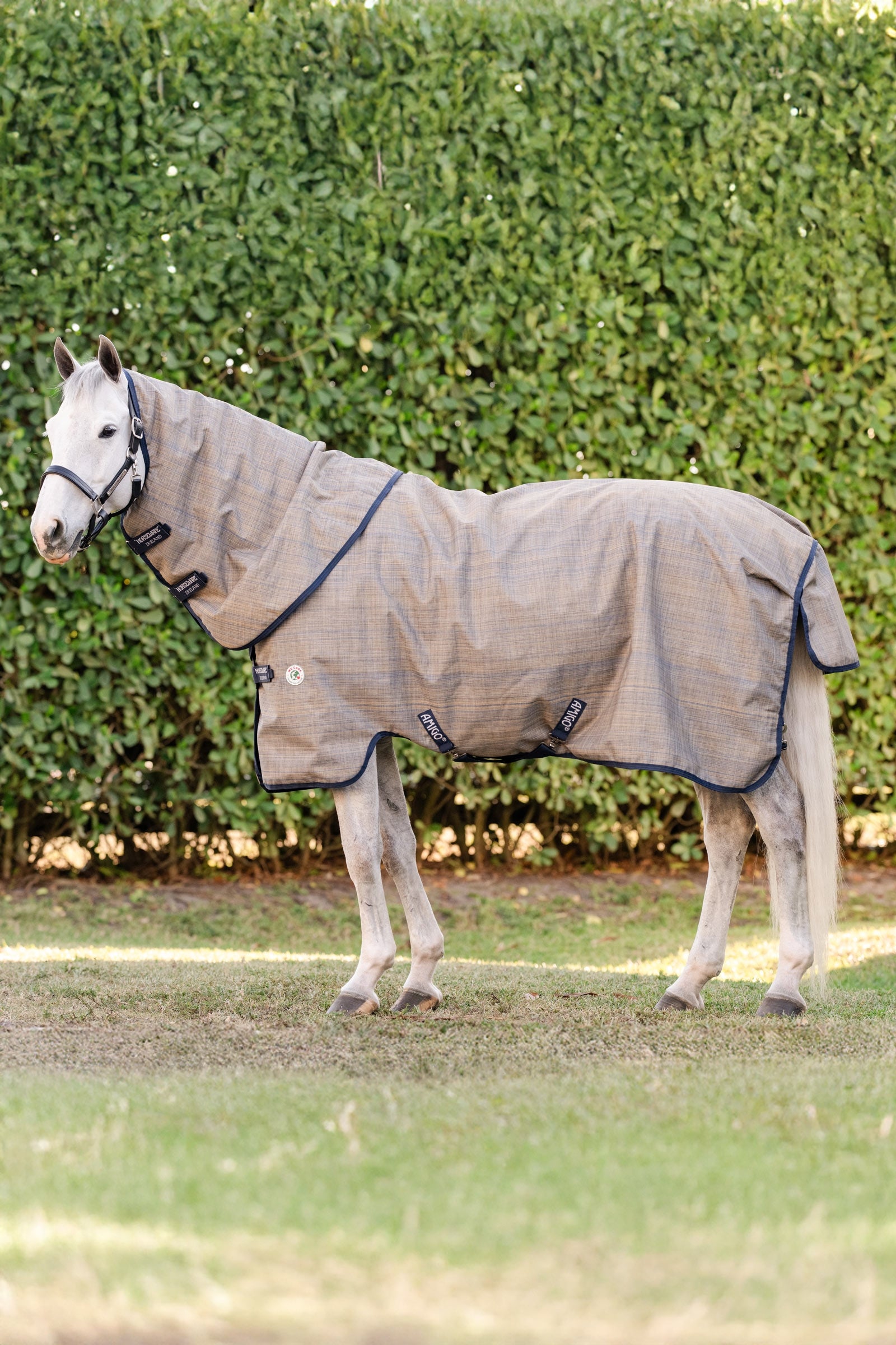 Horseware Amigo Hero 900 Revive Plus Turnout Rug With Detachable Neck, 200 g Horse Rugs