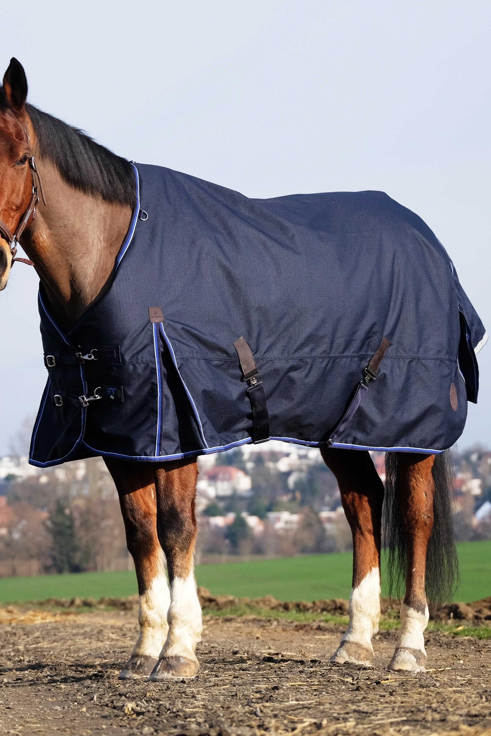 EQUITHÈME Classic 1200D Turnout Rug, 0 g Horse Rugs