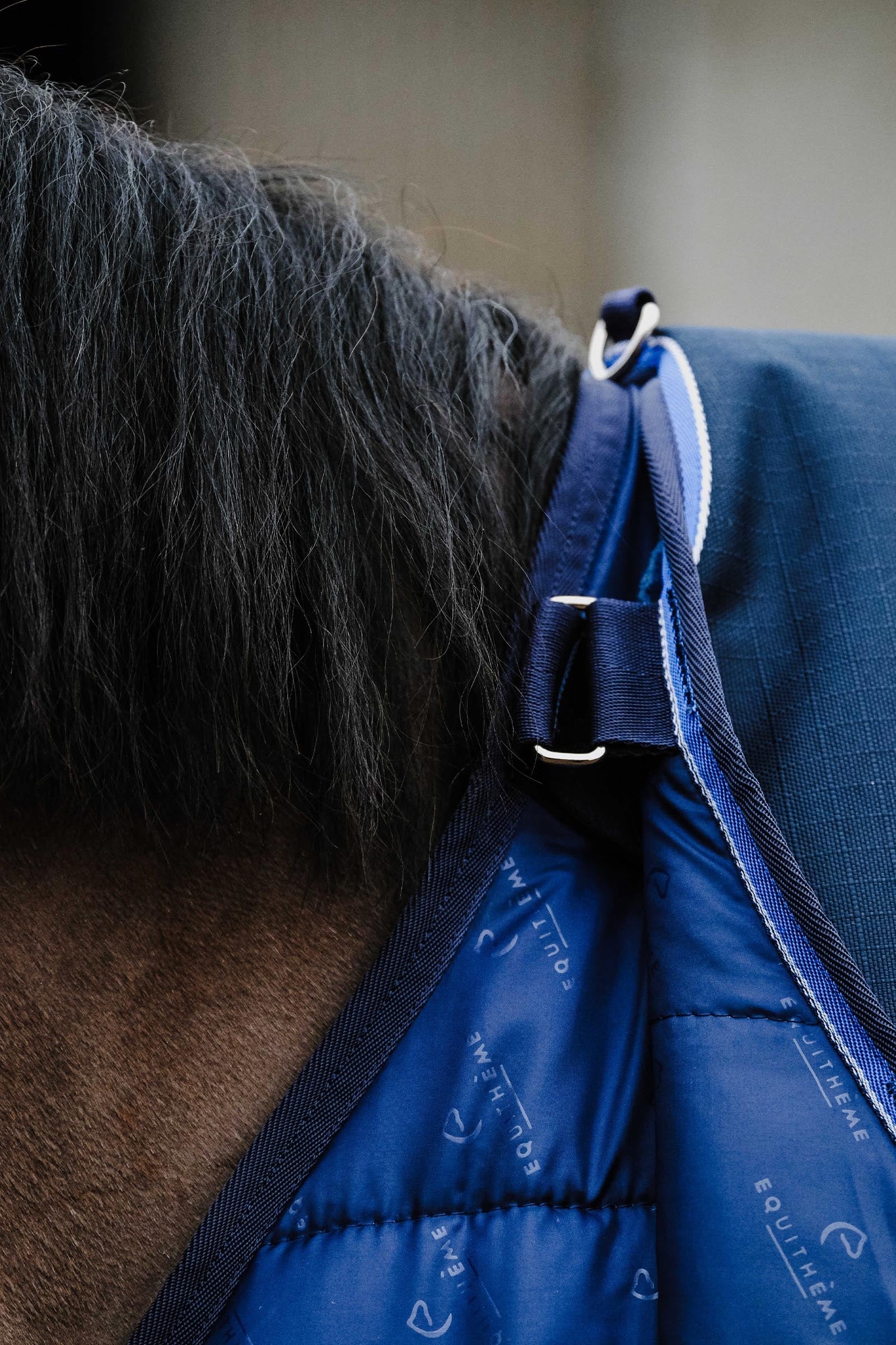 EQUITHÈME Classic 1200D Turnout Rug, 0 g Horse Rugs