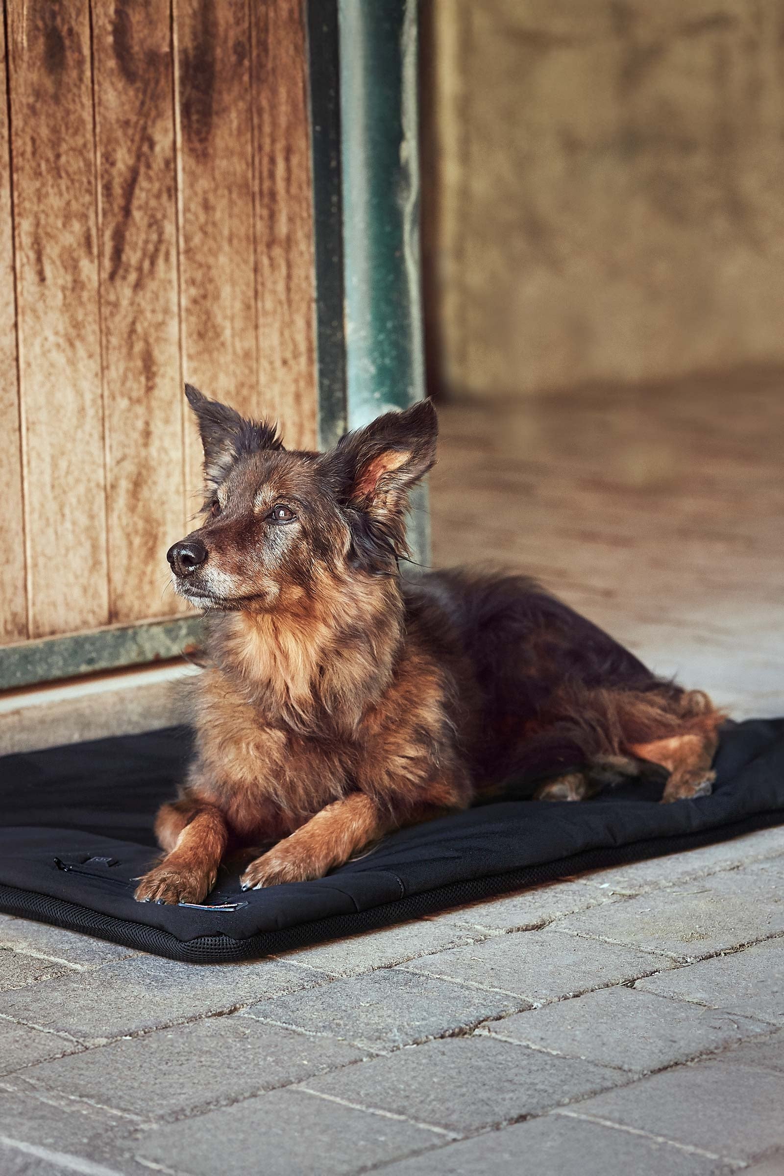 Catago CATAGO FIR-Tech Pro Heatable Dog Pillow Dog Accesories