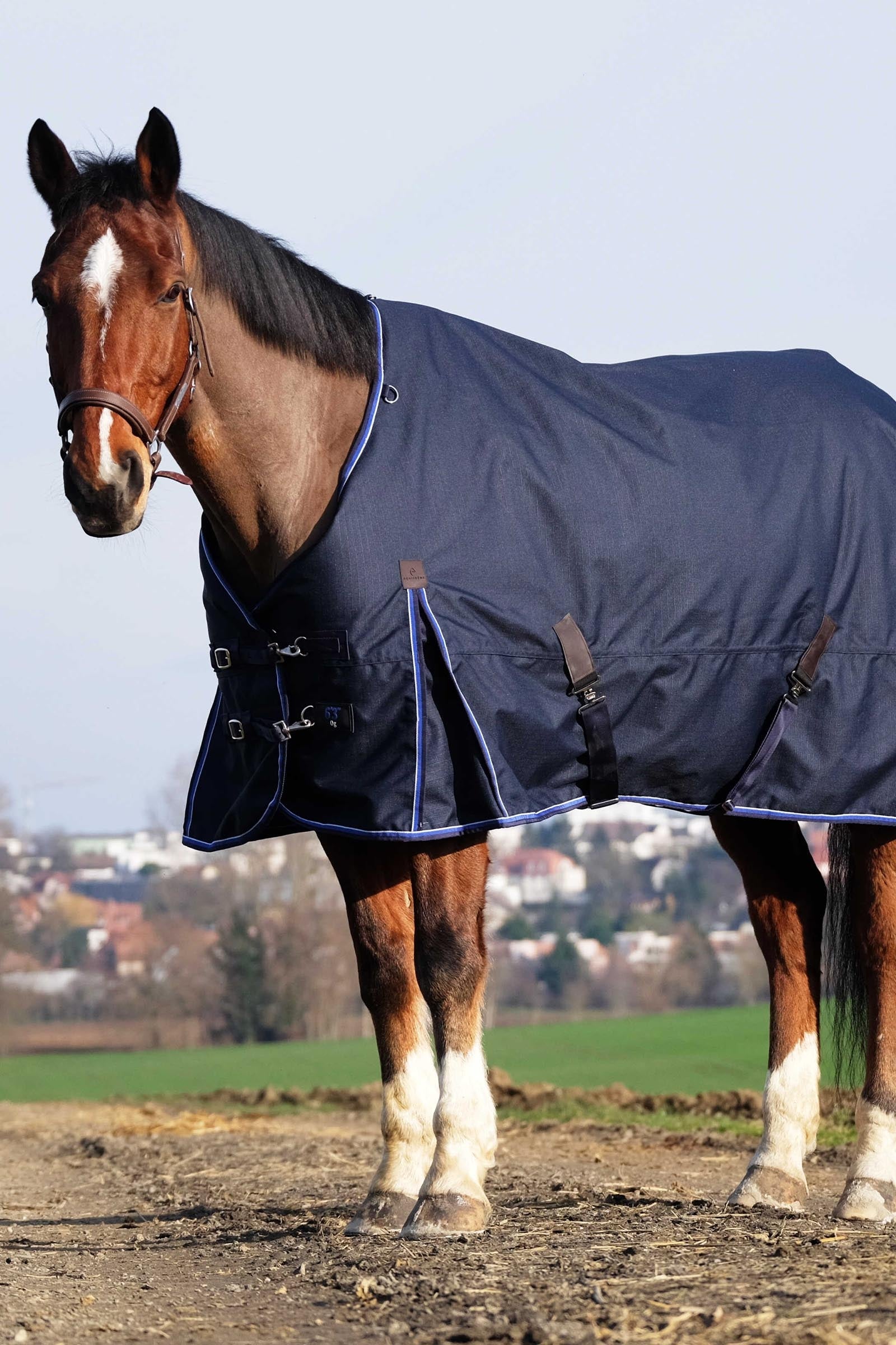 EQUITHÈME Classic 1200D Turnout Rug, 50 g Horse Rugs