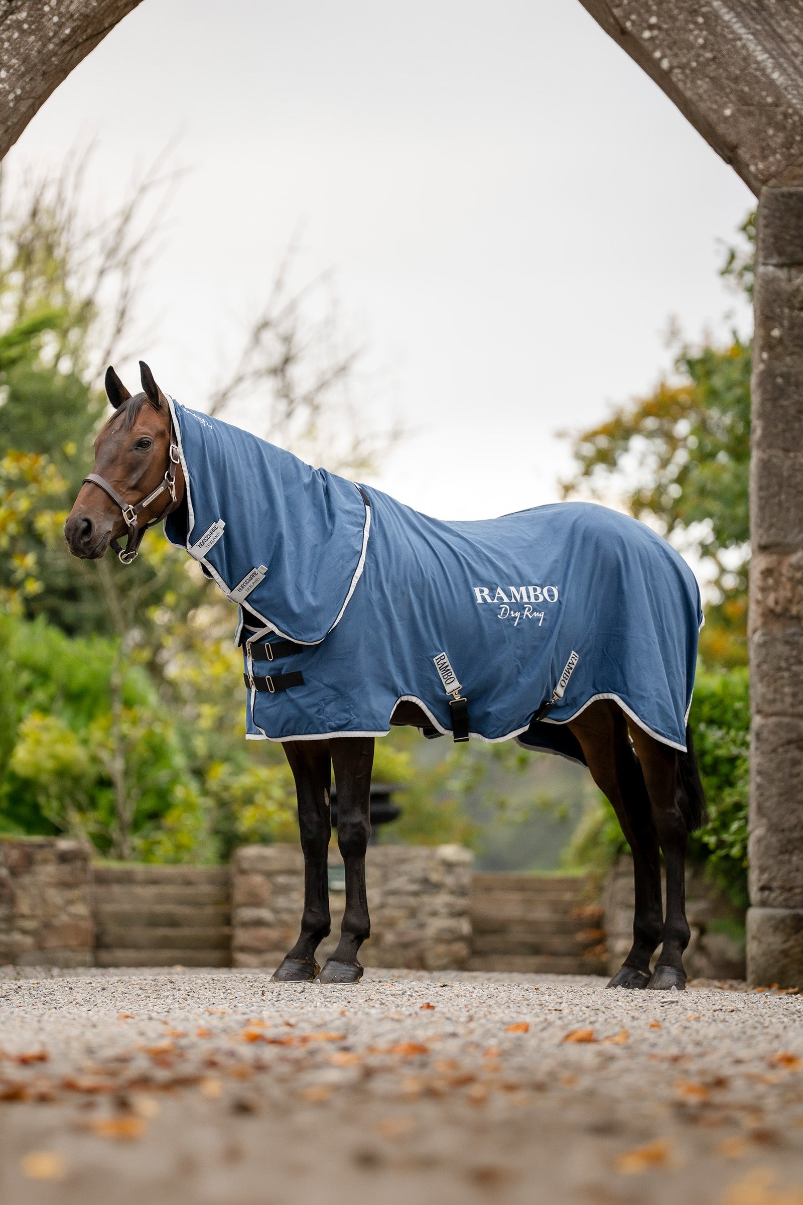 Horseware Rambo Dry Rug Supreme Horse Rugs