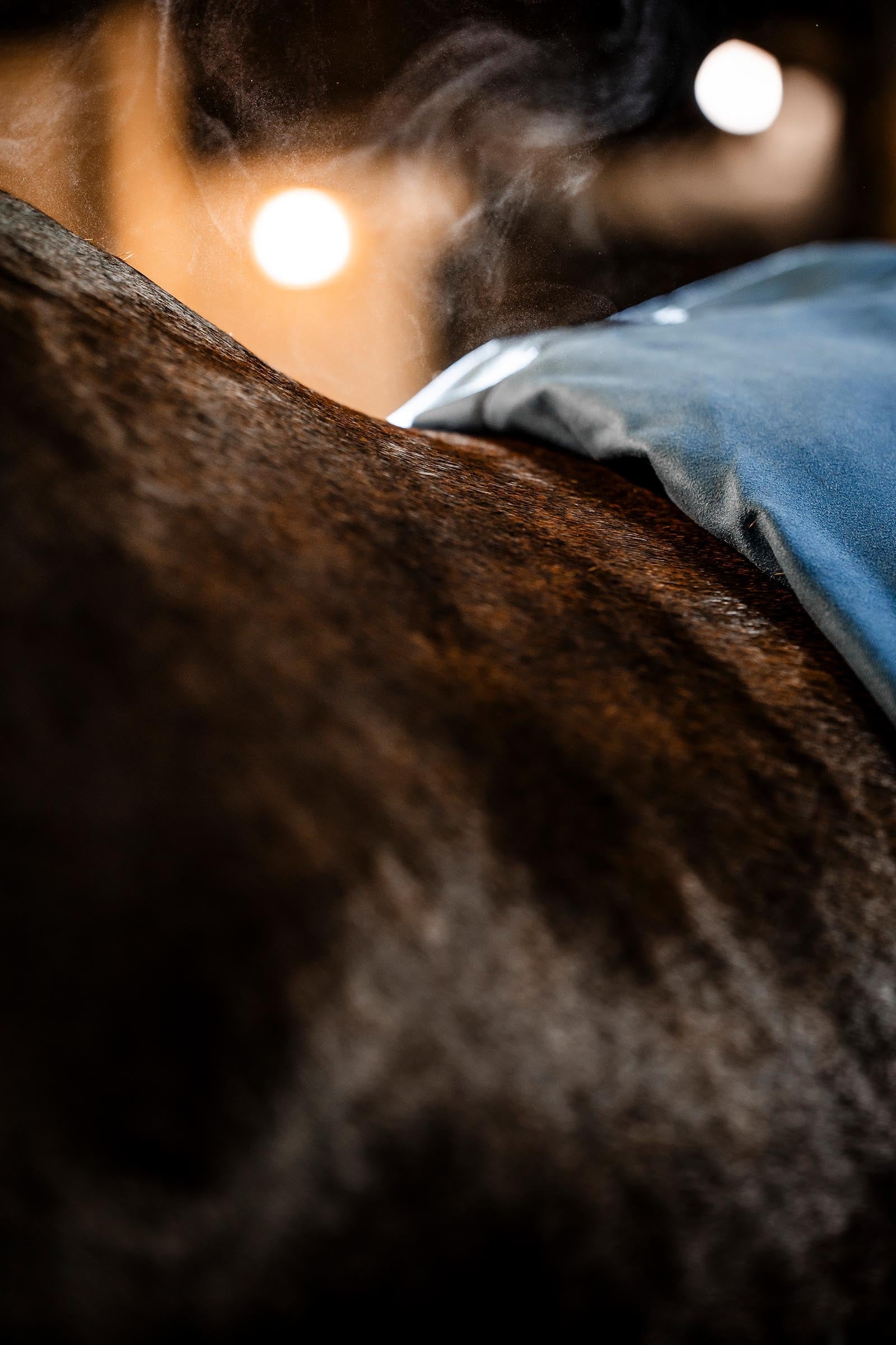 Horseware Rambo Dry Rug Supreme Horse Rugs