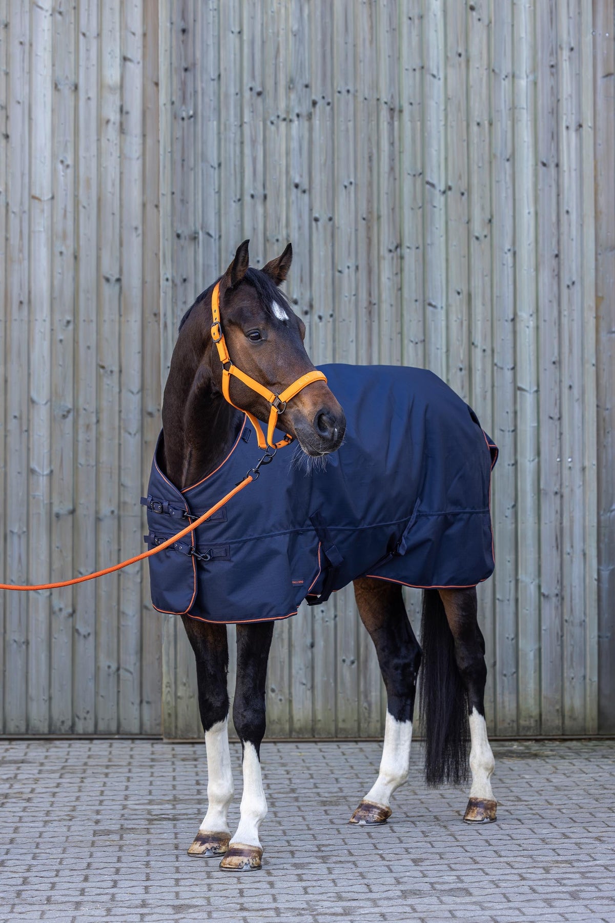 Covalliero FW26 Outdoor Horse Rug 300g Horse Rugs
