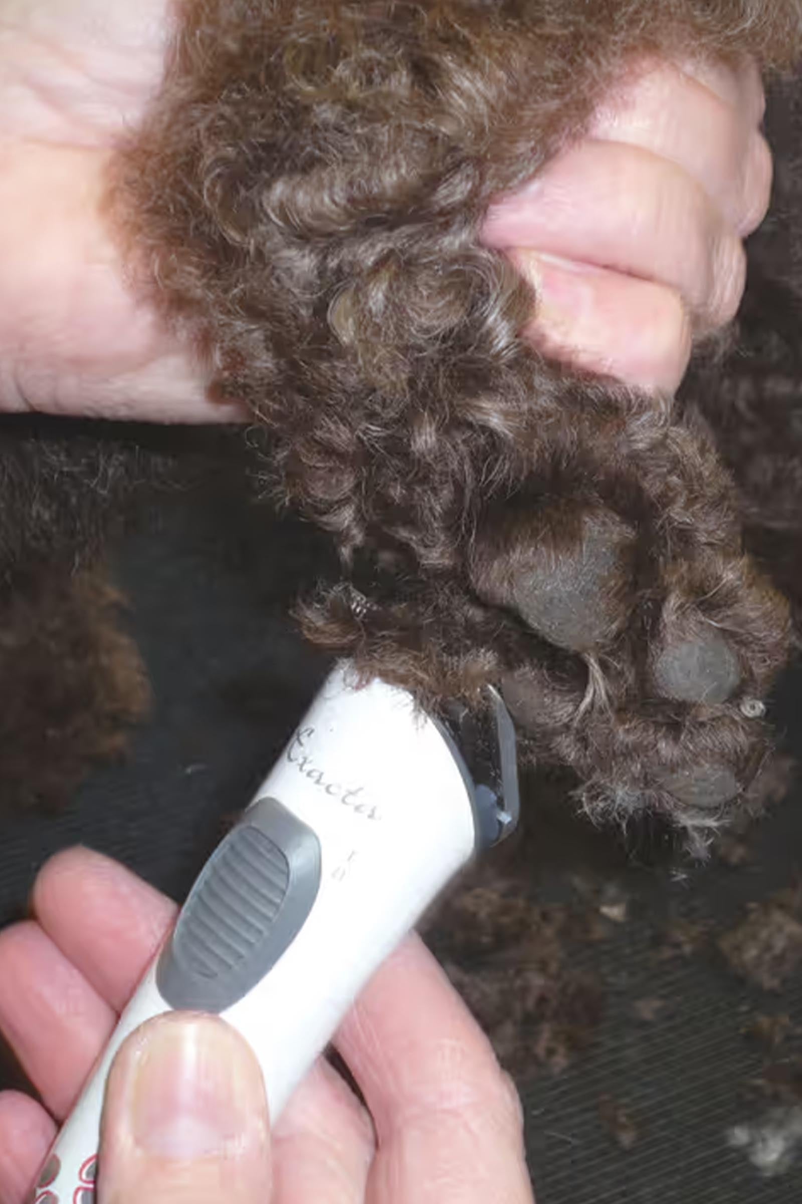 Aesculap Exacta GT416 Trimmer, battery-driven Horse Clipping & Trimming Tools