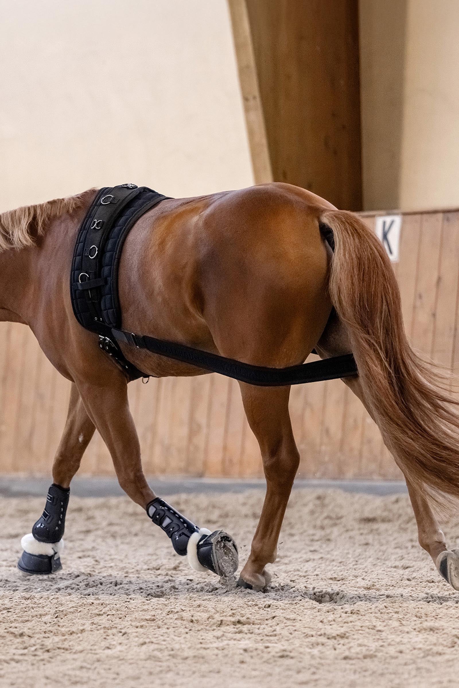 Waldhausen Body Bandage, Activation of the Hindquarters Leg Protection & Hoof Protection for Horses
