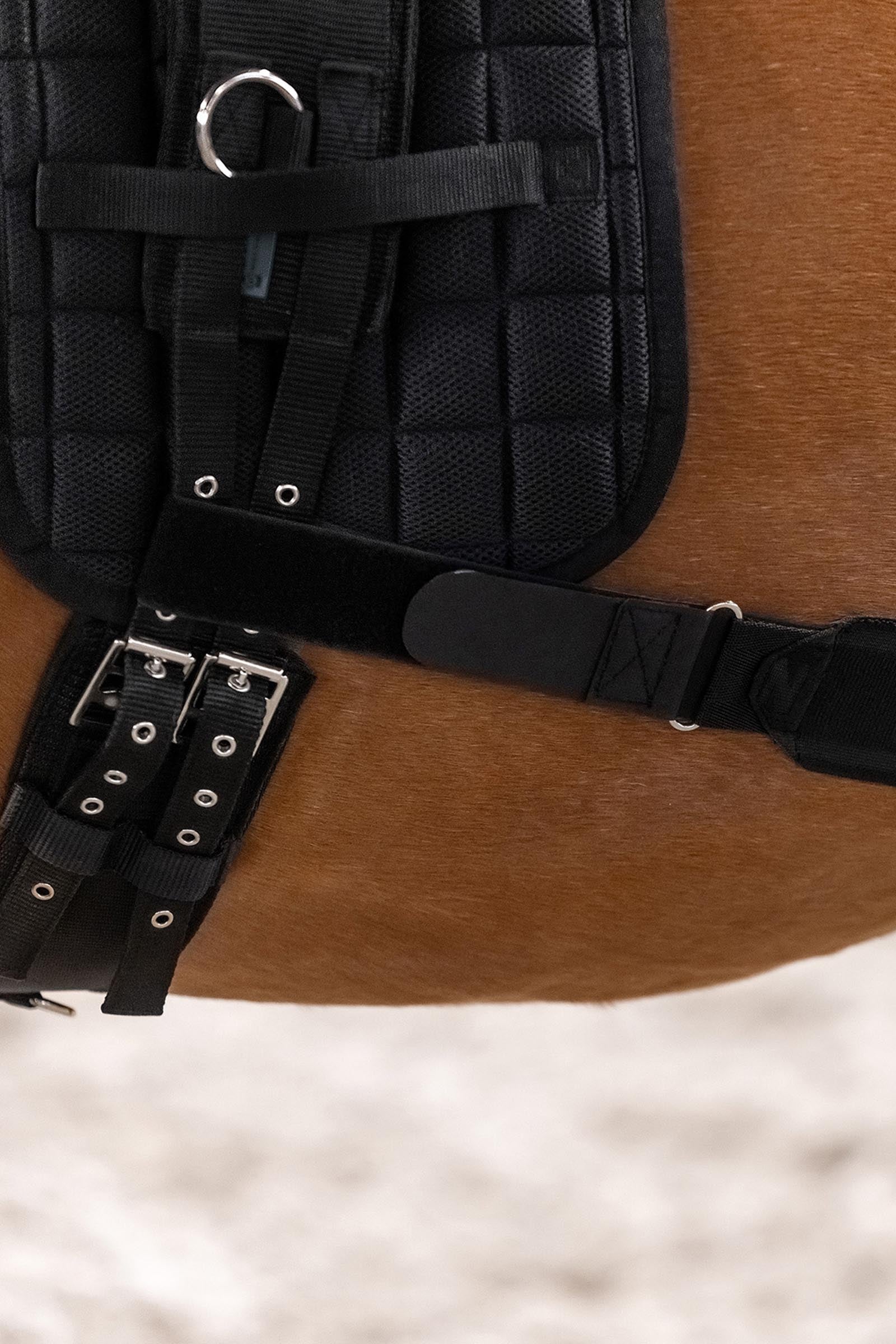 Waldhausen Body Bandage, Activation of the Hindquarters Leg Protection & Hoof Protection for Horses