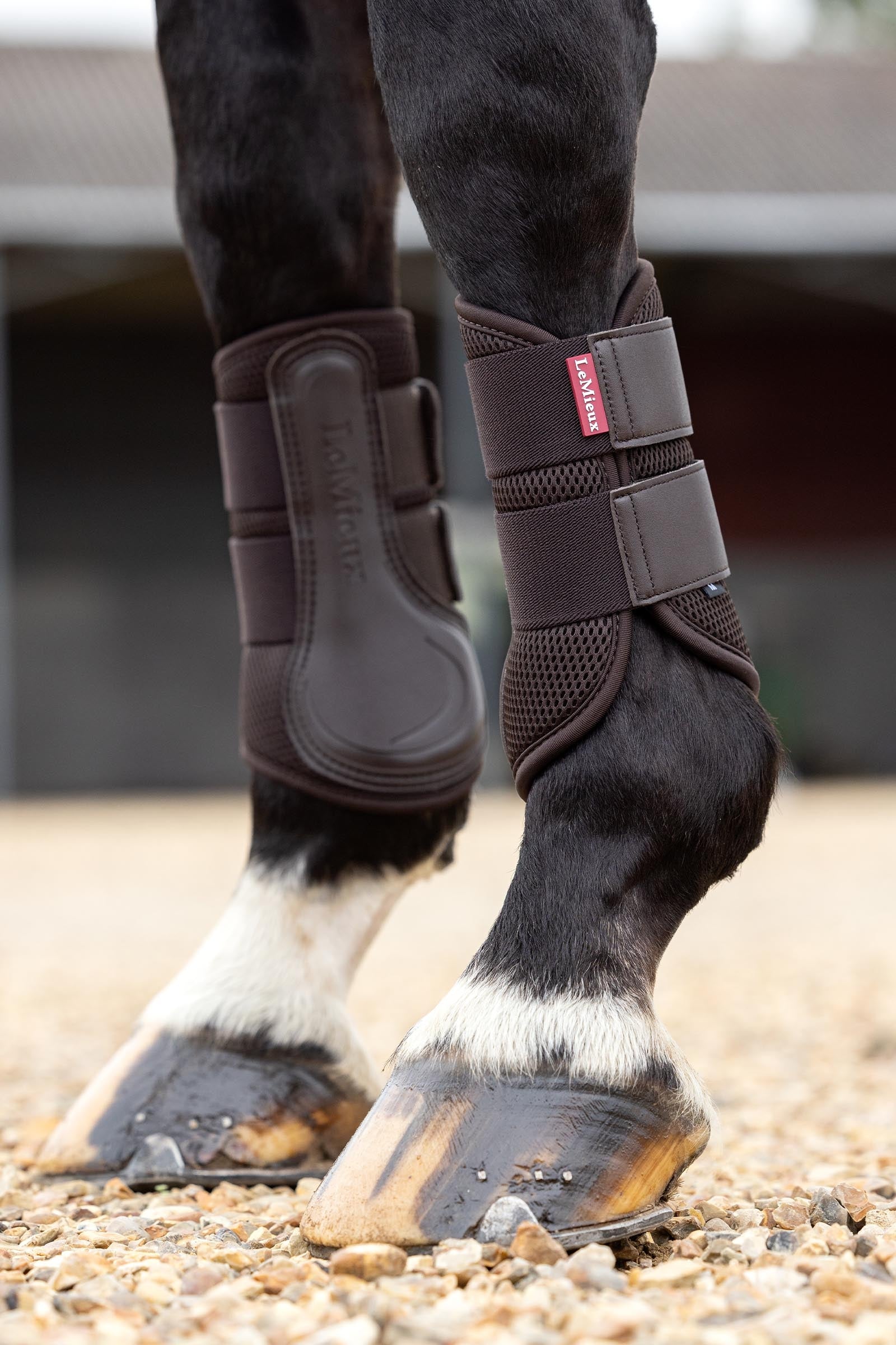 LeMieux Mesh Brushing Boots II Leg & Hoof Protection