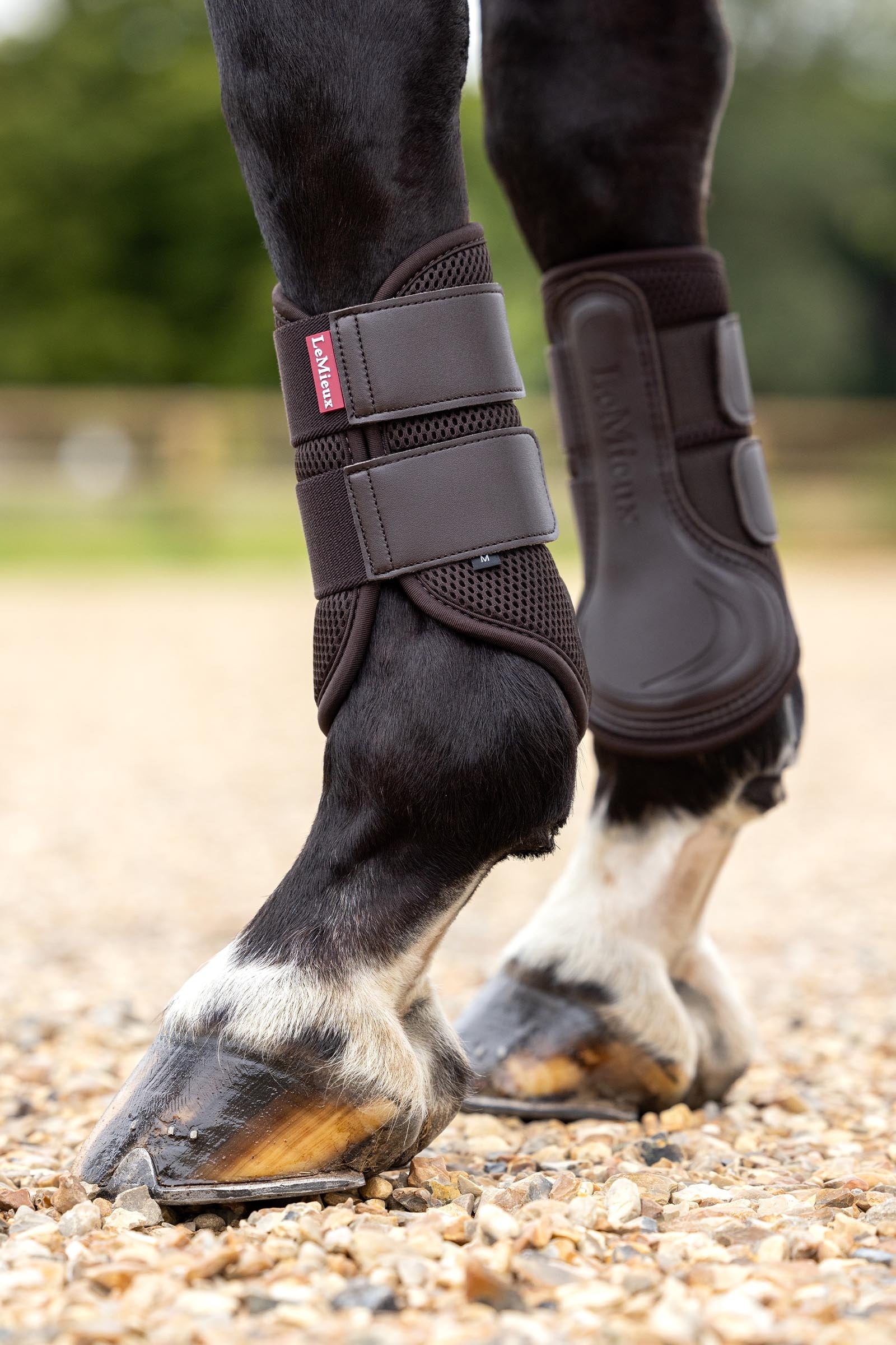 LeMieux Mesh Brushing Boots II Leg & Hoof Protection