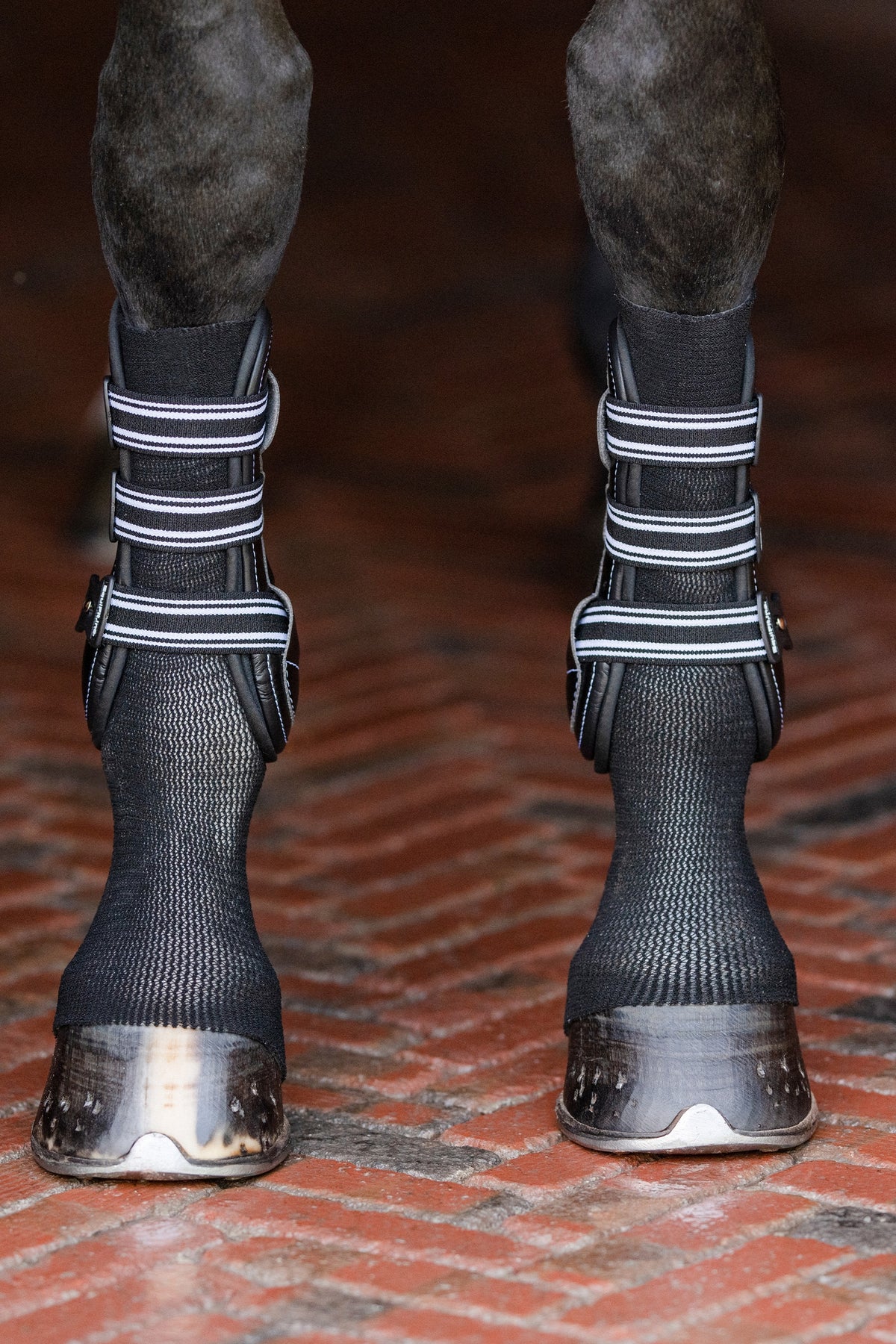 EquiFit GelSox™ Leg & Hoof Protection