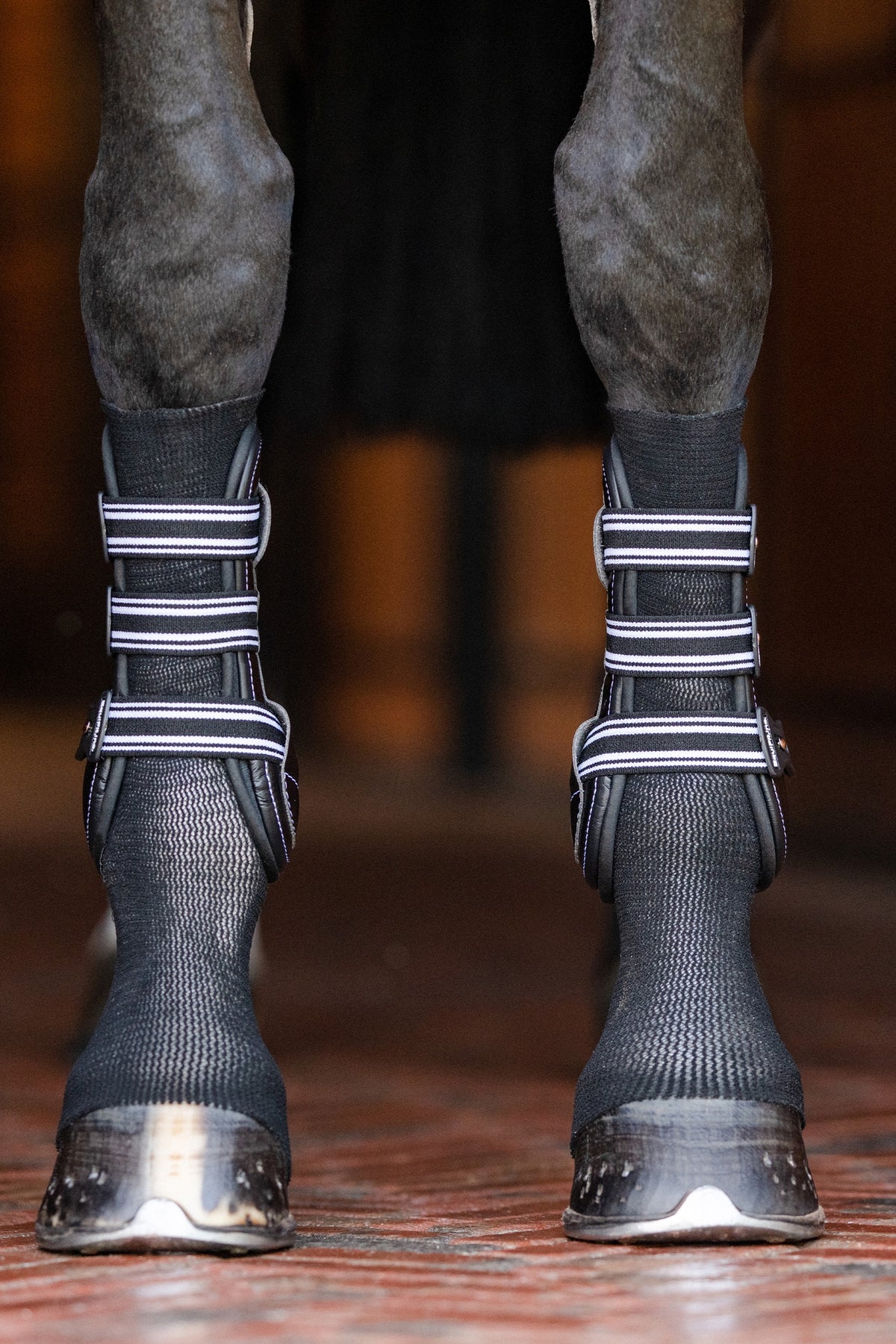 EquiFit GelSox™ Leg & Hoof Protection