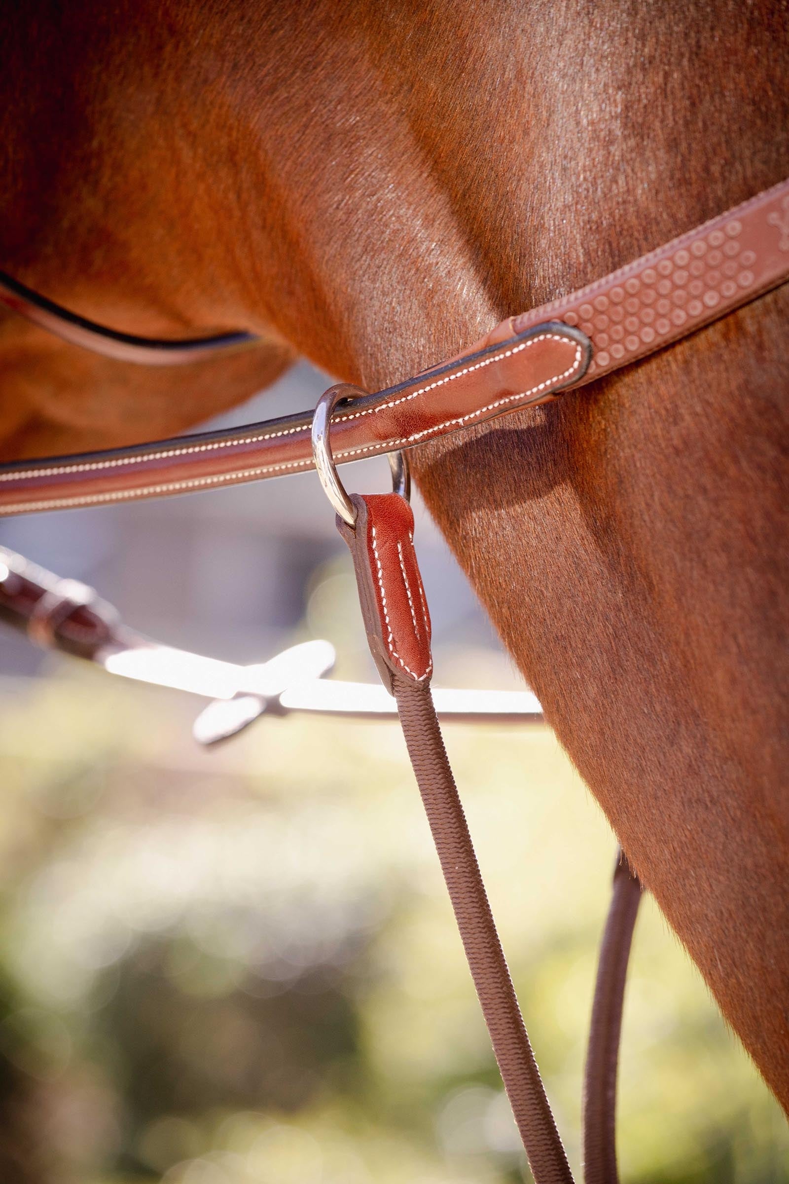 PENELOPE Bip Light US Martingale Fork, Elastic Bridles & Reins