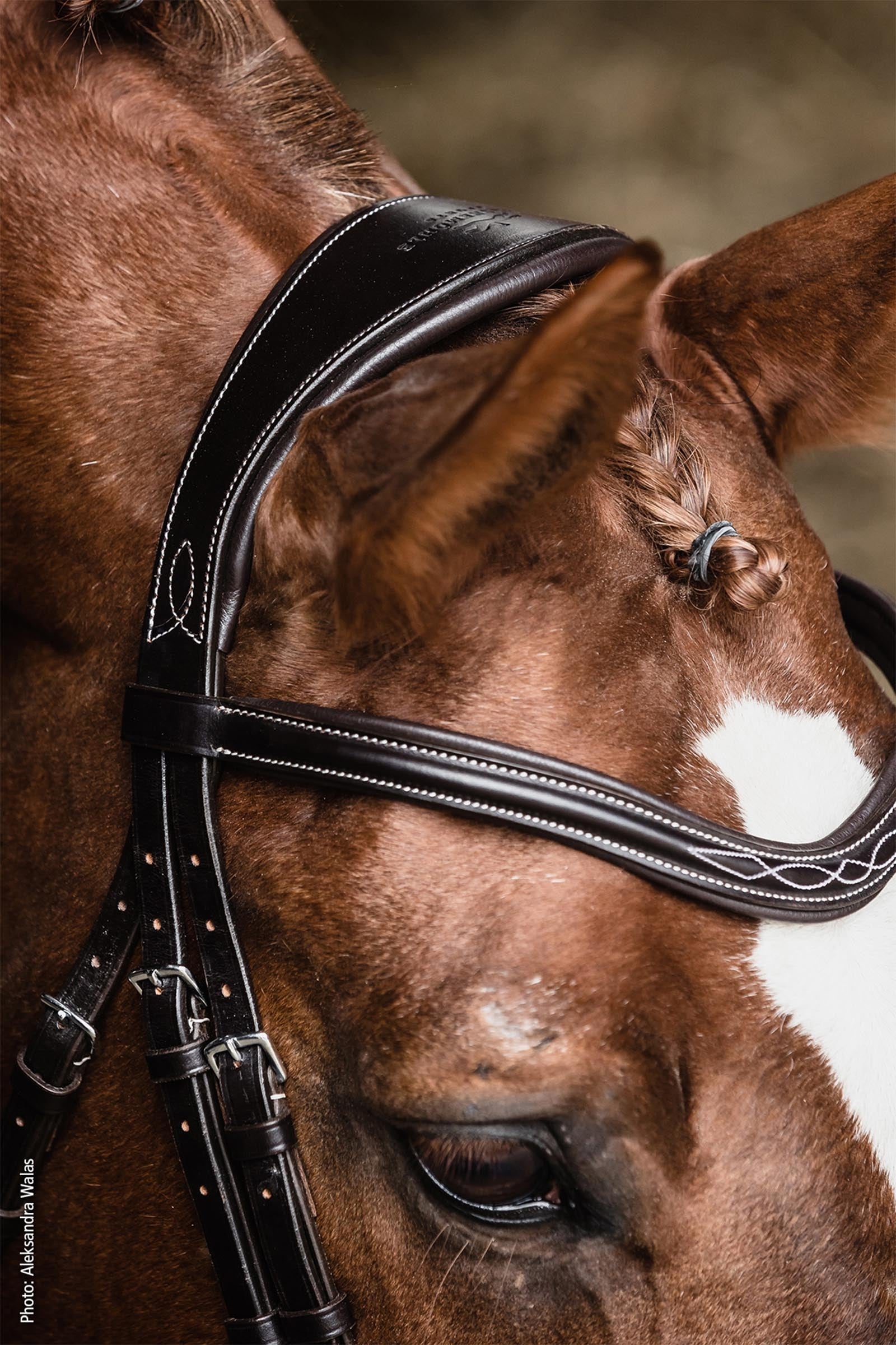 Schockemöhle Sports SP Monza F Bridle Bridles & Reins