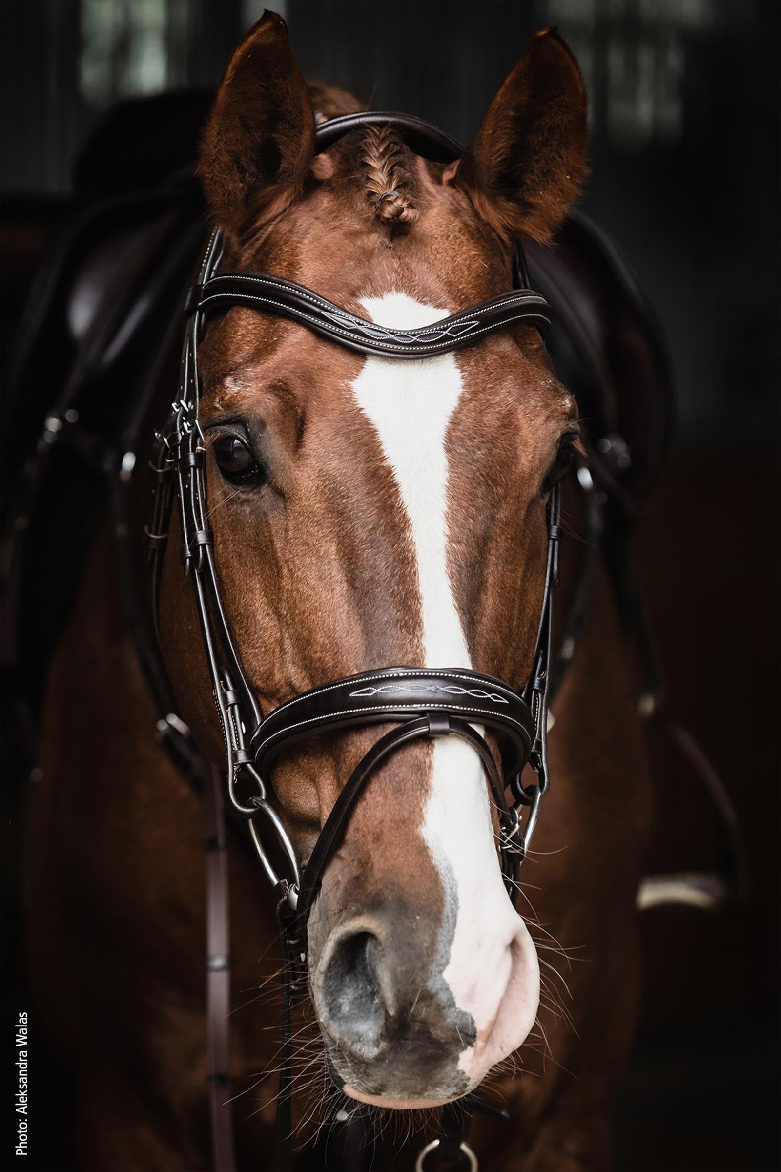 Schockemöhle Sports SP Monza F Bridle Bridles & Reins