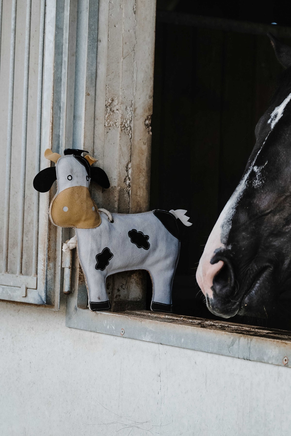 HIPPOTONIC Toy Cow For Horses Horse Toys & Riding Arena Supplies