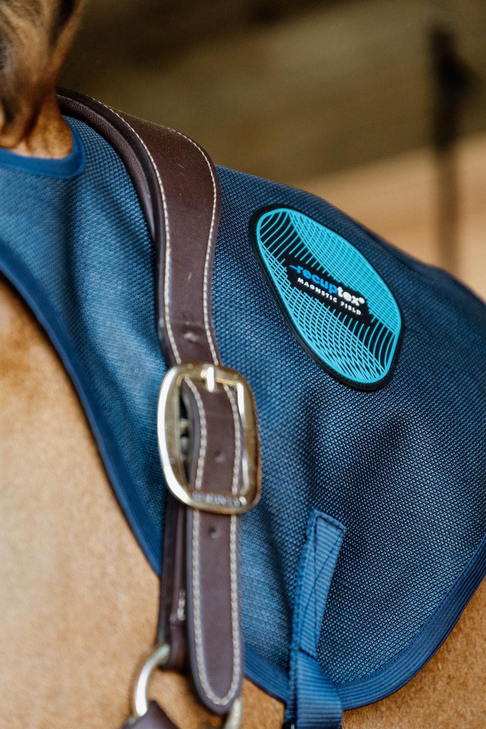Kentucky Horsewear Kentucky Horseware Recuptex Magnetic Neck Protector Horse Rugs