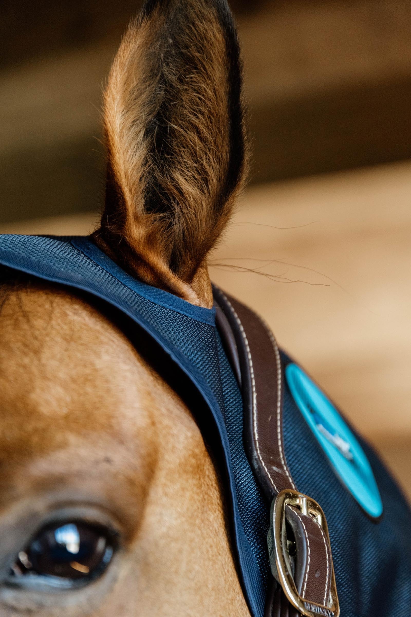 Kentucky Horsewear Kentucky Horseware Recuptex Magnetic Neck Protector Horse Rugs