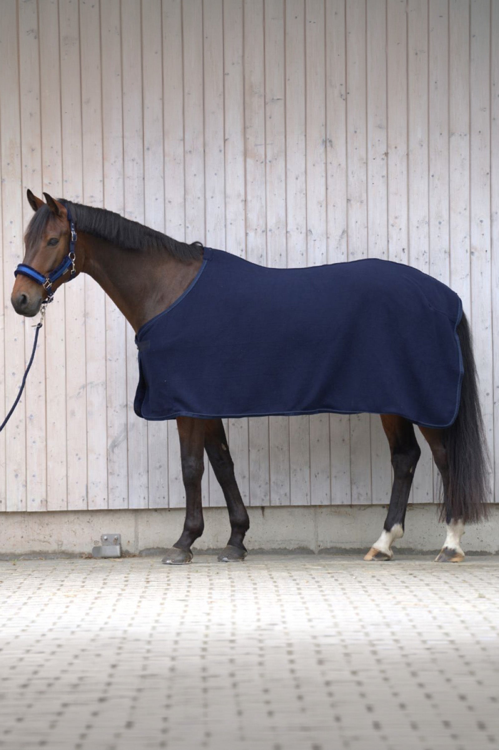 Kavalkade Noble Fleece Cooler Rug, Icelandic Horse Rugs