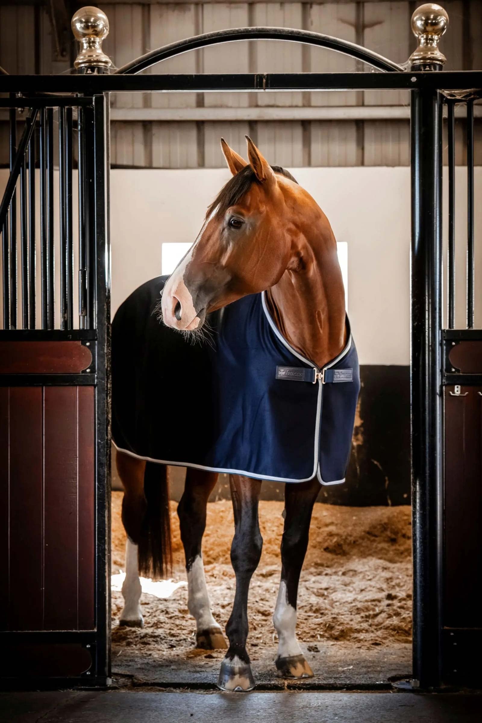 Bucas Emerald Wool Rug Horse Rugs