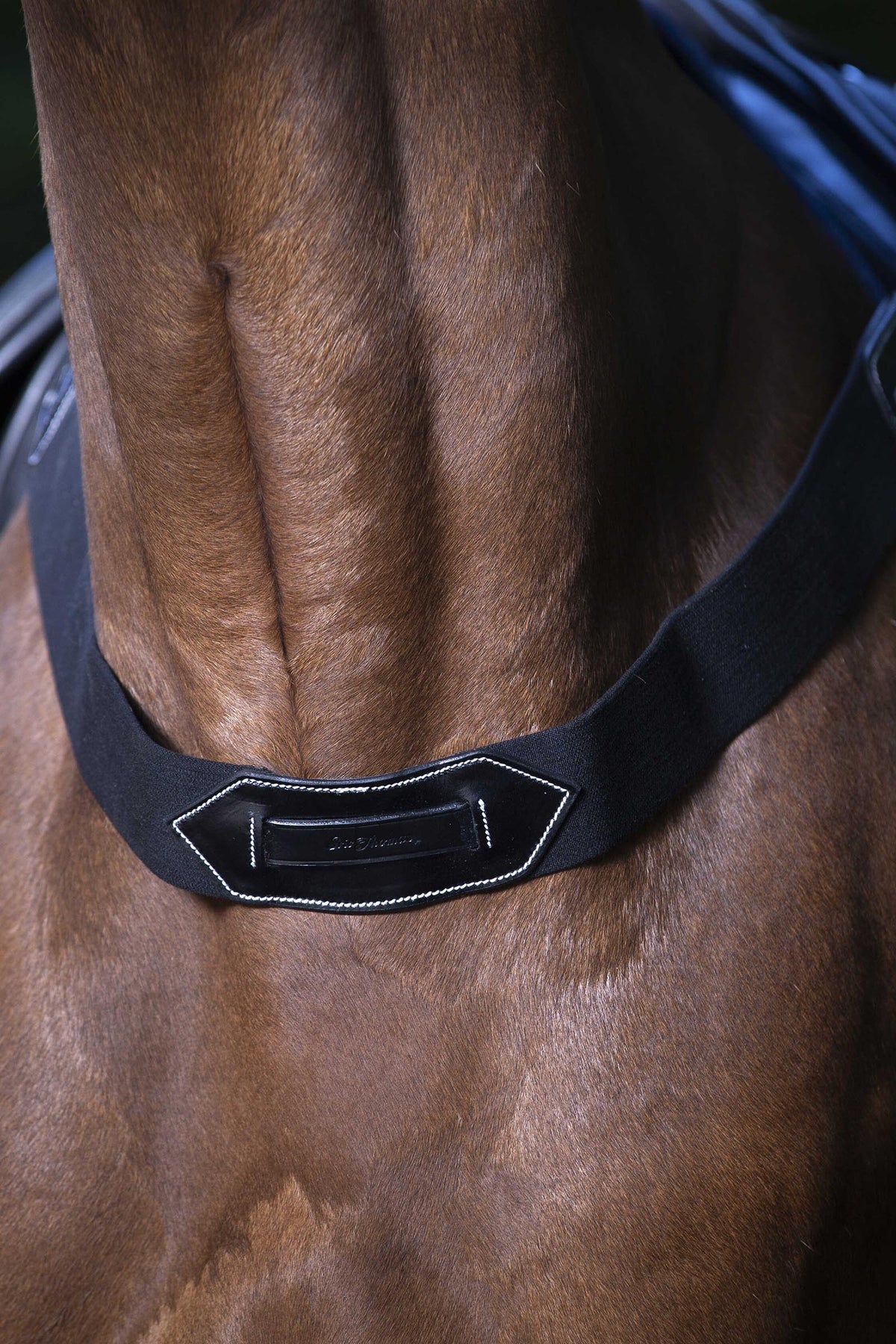 ERIC THOMAS PRO Elastic Breastplate Bridles & Reins