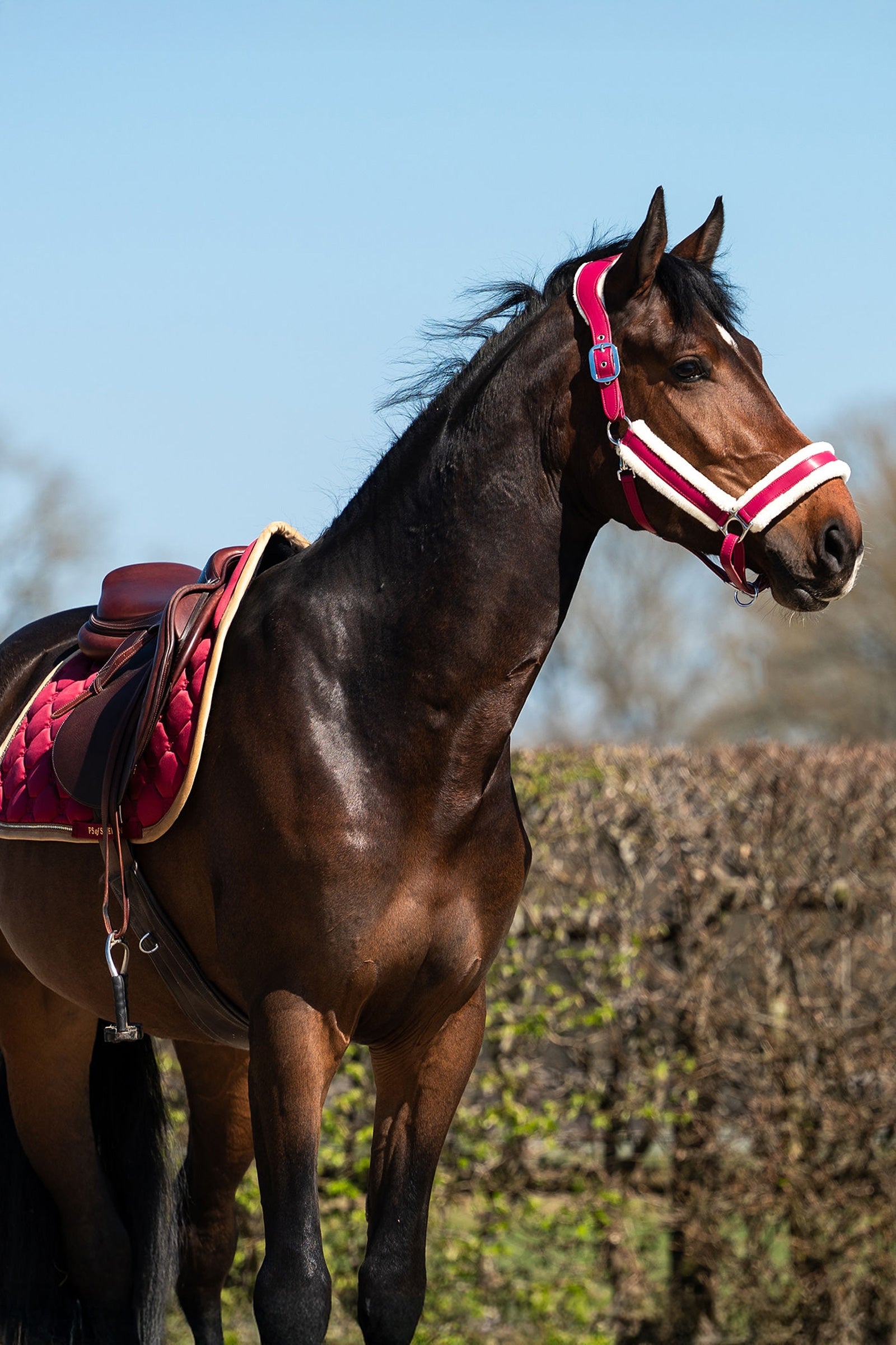 PS of Sweden Vintage Monogram Dressage Saddle Pad Saddle Pads