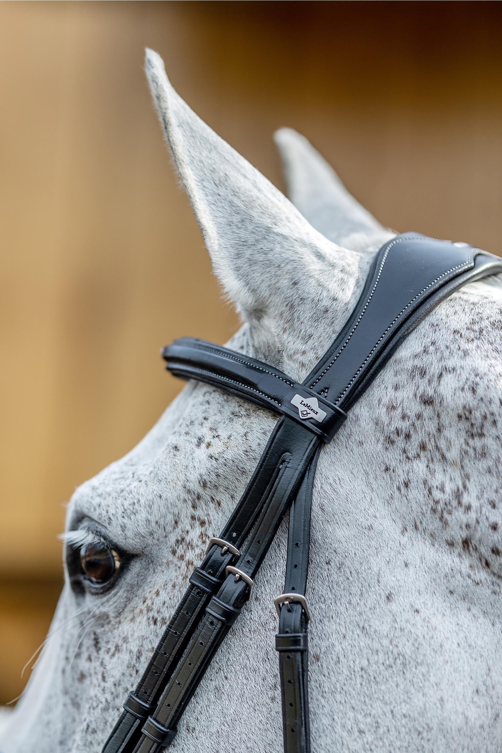 LeMieux Kudos Grackle Bridle Bridles & Reins