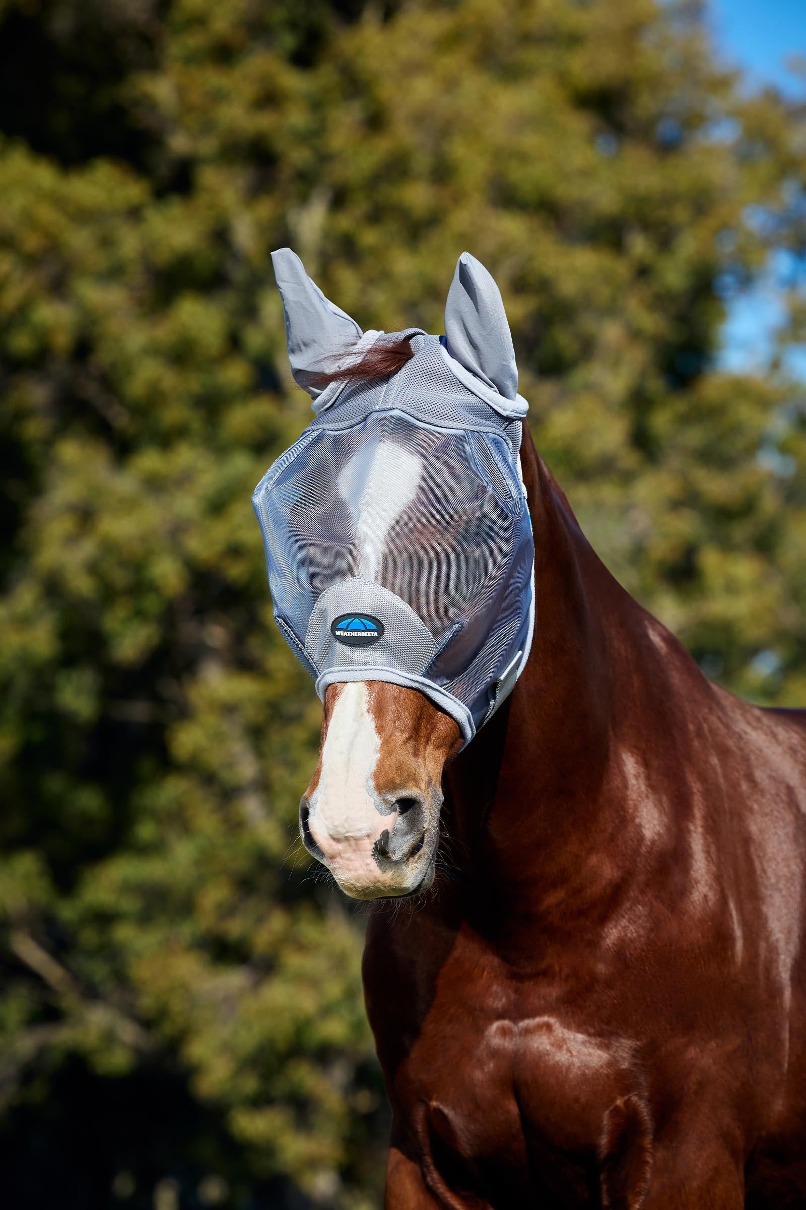 Weatherbeeta Comfitec Durable Mesh Fly Mask With Ears Antifly Protection for Horses