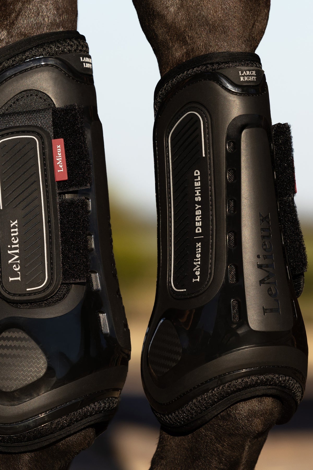 LeMieux Lemieux Derby Shield Tendon Boot Leg & Hoof Protection