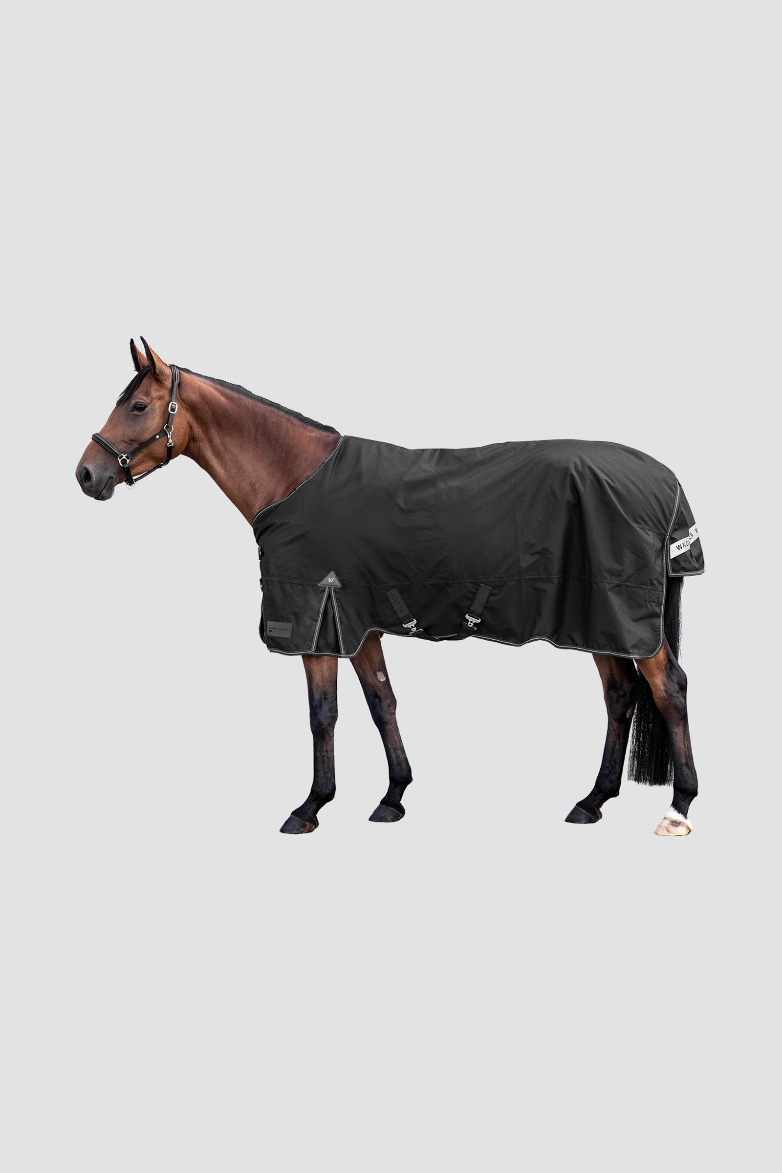 Waldhausen Outdoor Rug Arctic Light Horse Rugs