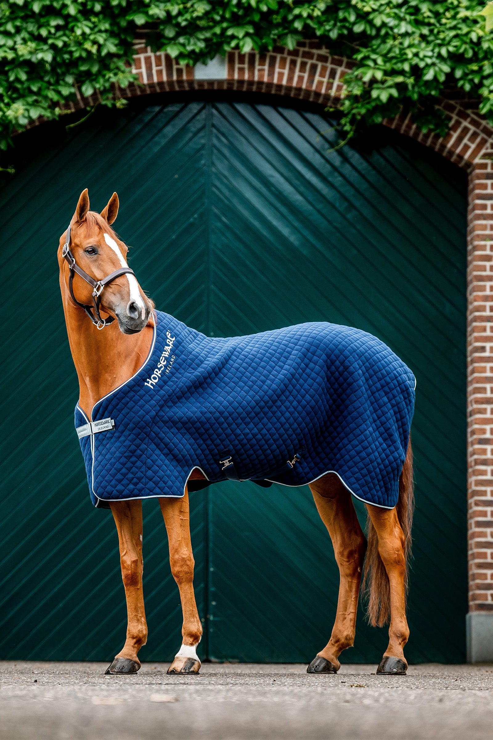 Horseware Autumn Cooler Horse Rugs