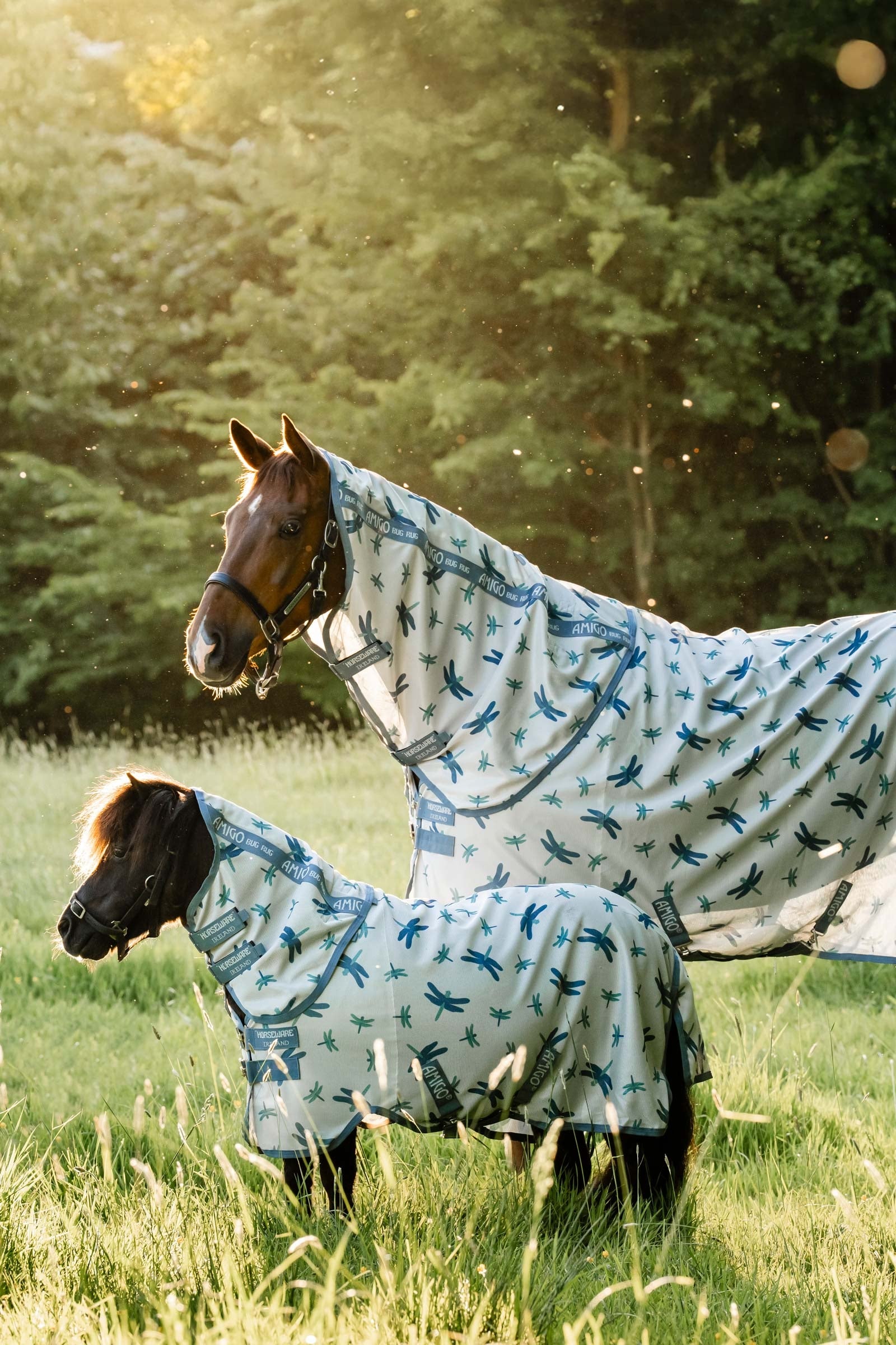 Horseware Amigo Bug Rug Plus Horse Rugs