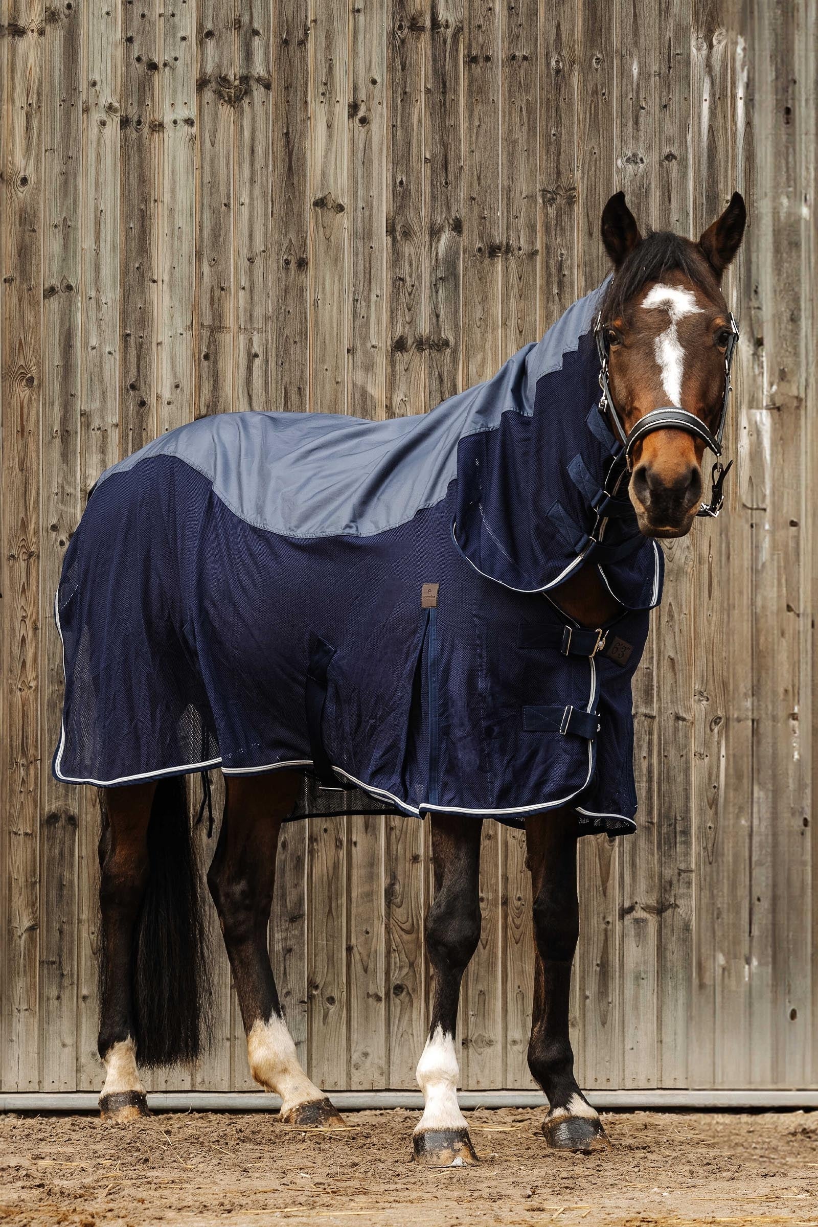 EQUITHÈME Combo Sheet Mixte Horse Rugs