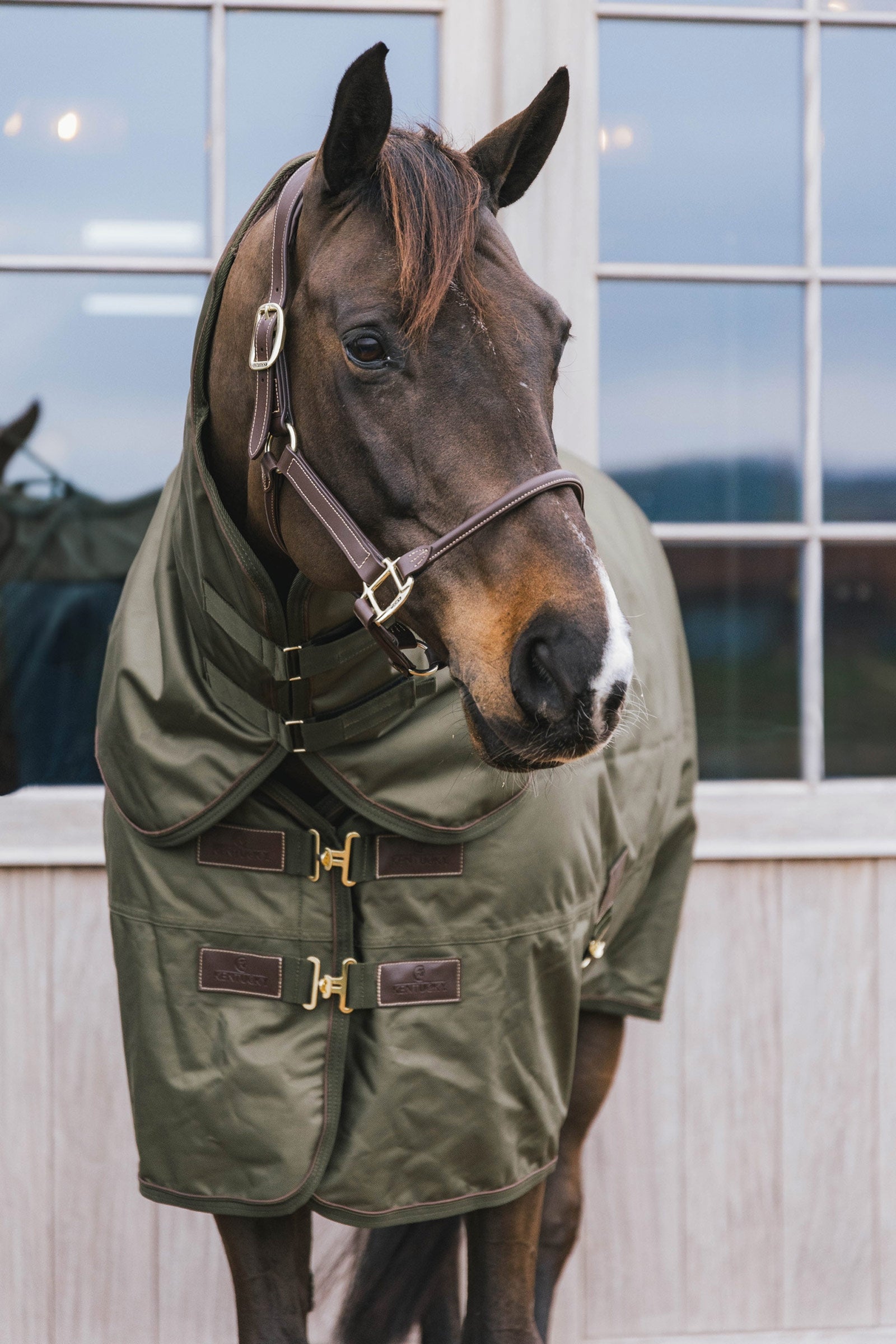 Kentucky Horsewear Turnout rug all weather waterproof pro 160g Horse Rugs